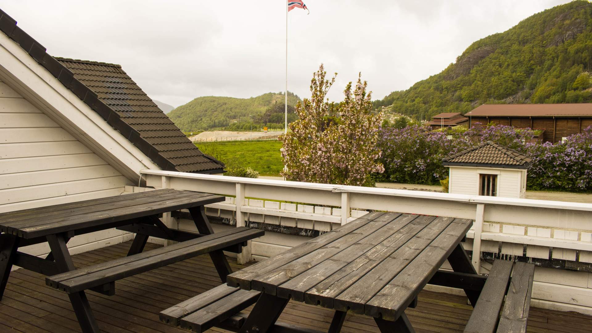 Stay at Fossanmoen Icelandic horse centre, close to the Lysefjord