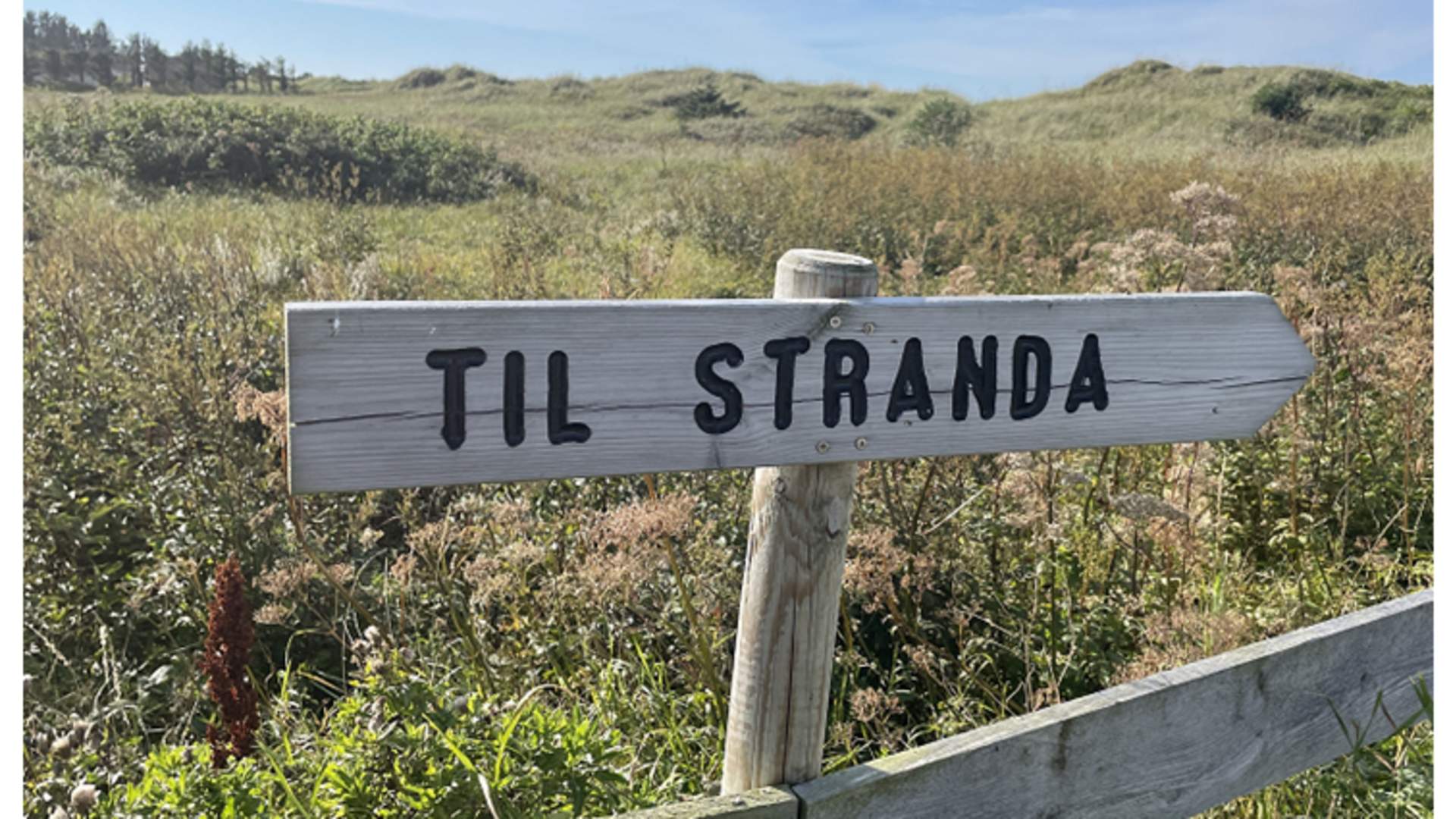 Reconciliation Festival: Art and Science for a Beautiful World - Opening