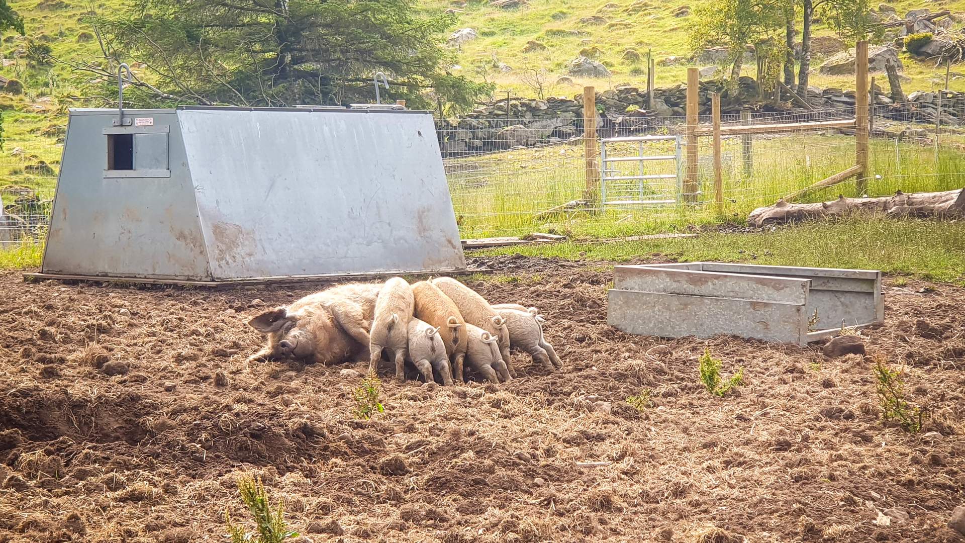 Gårdsutsalg hos Strand Gård på Tau