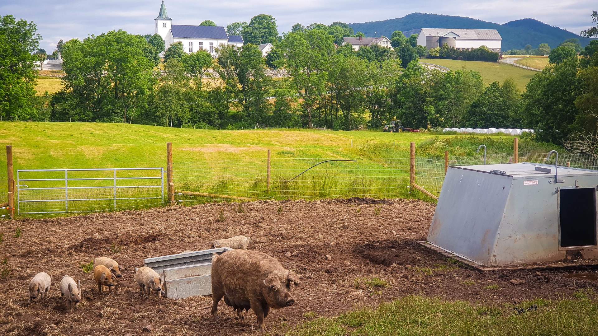 Gårdsutsalg hos Strand Gård på Tau