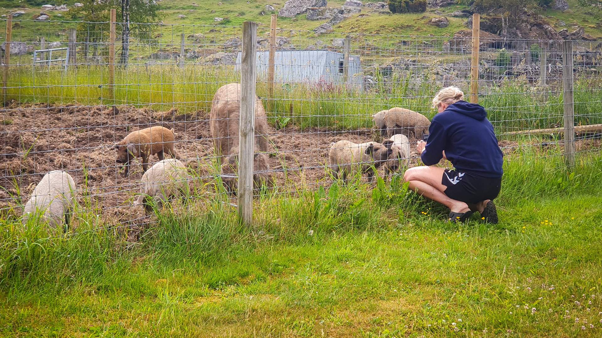 Gårdsutsalg hos Strand Gård på Tau