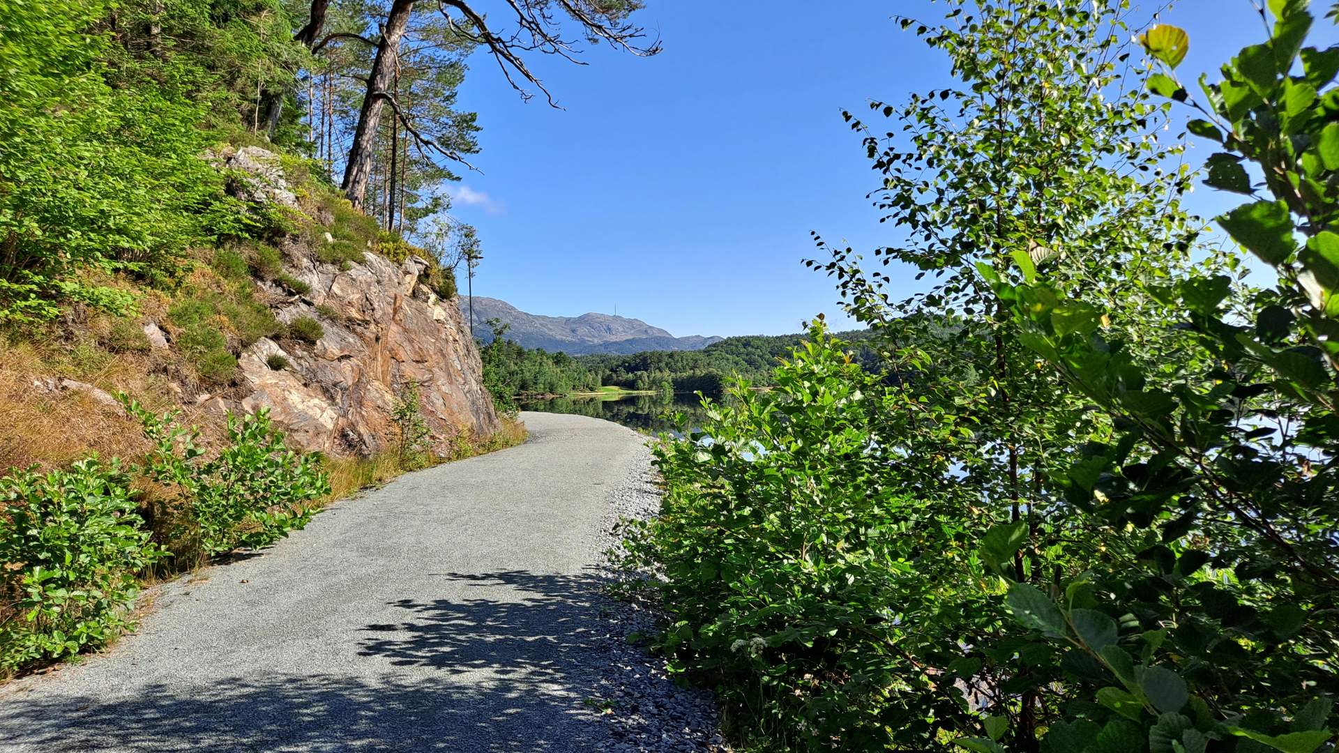 Turvegen er populær både til jogging og turgåing.