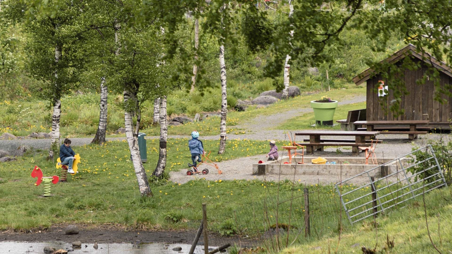 The duck pond in Sauda