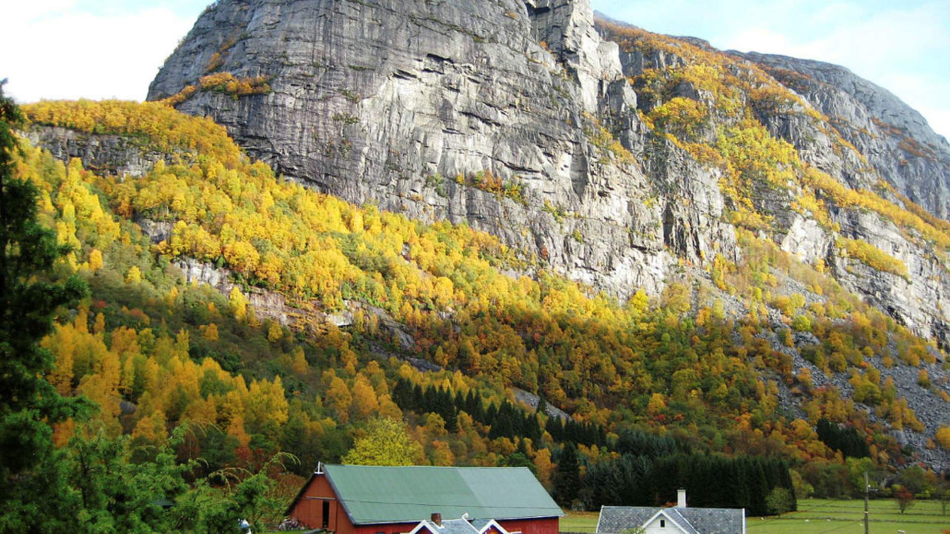 Jenafjell i Lysebotn