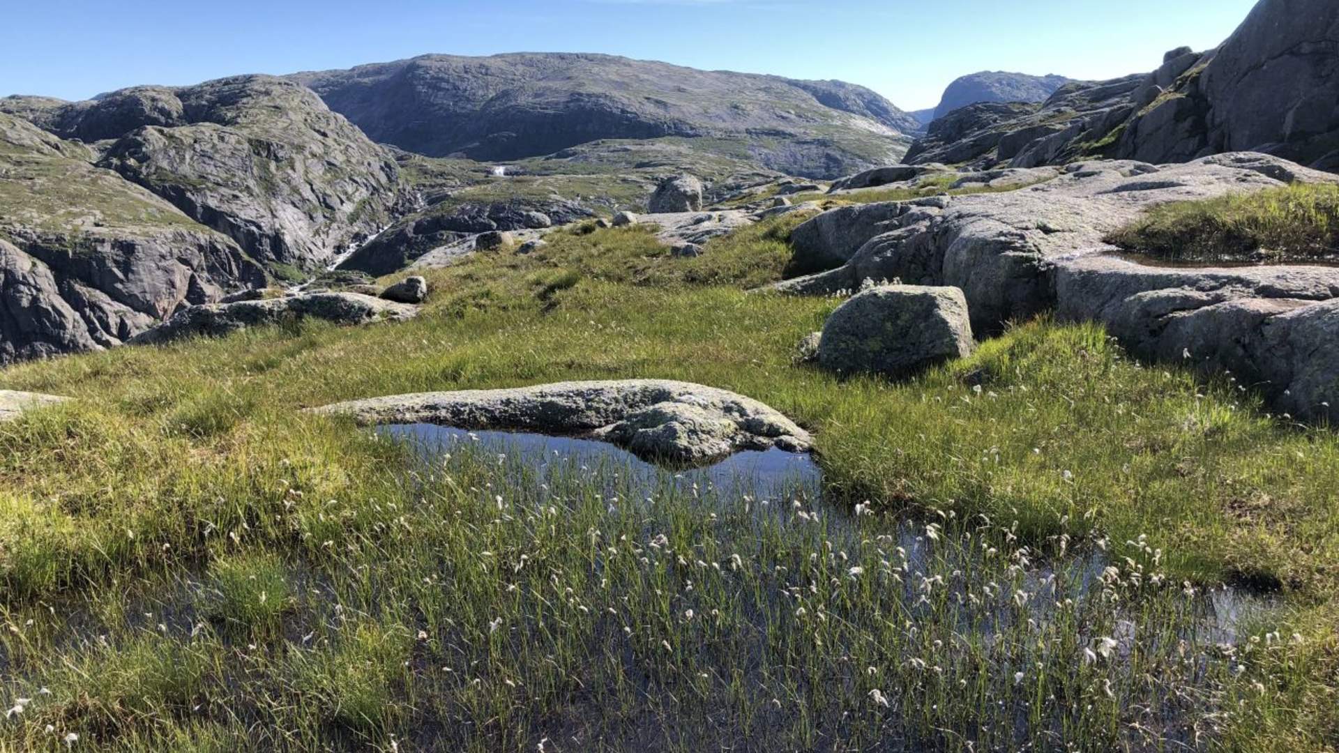 Jenafjell i Lysebotn