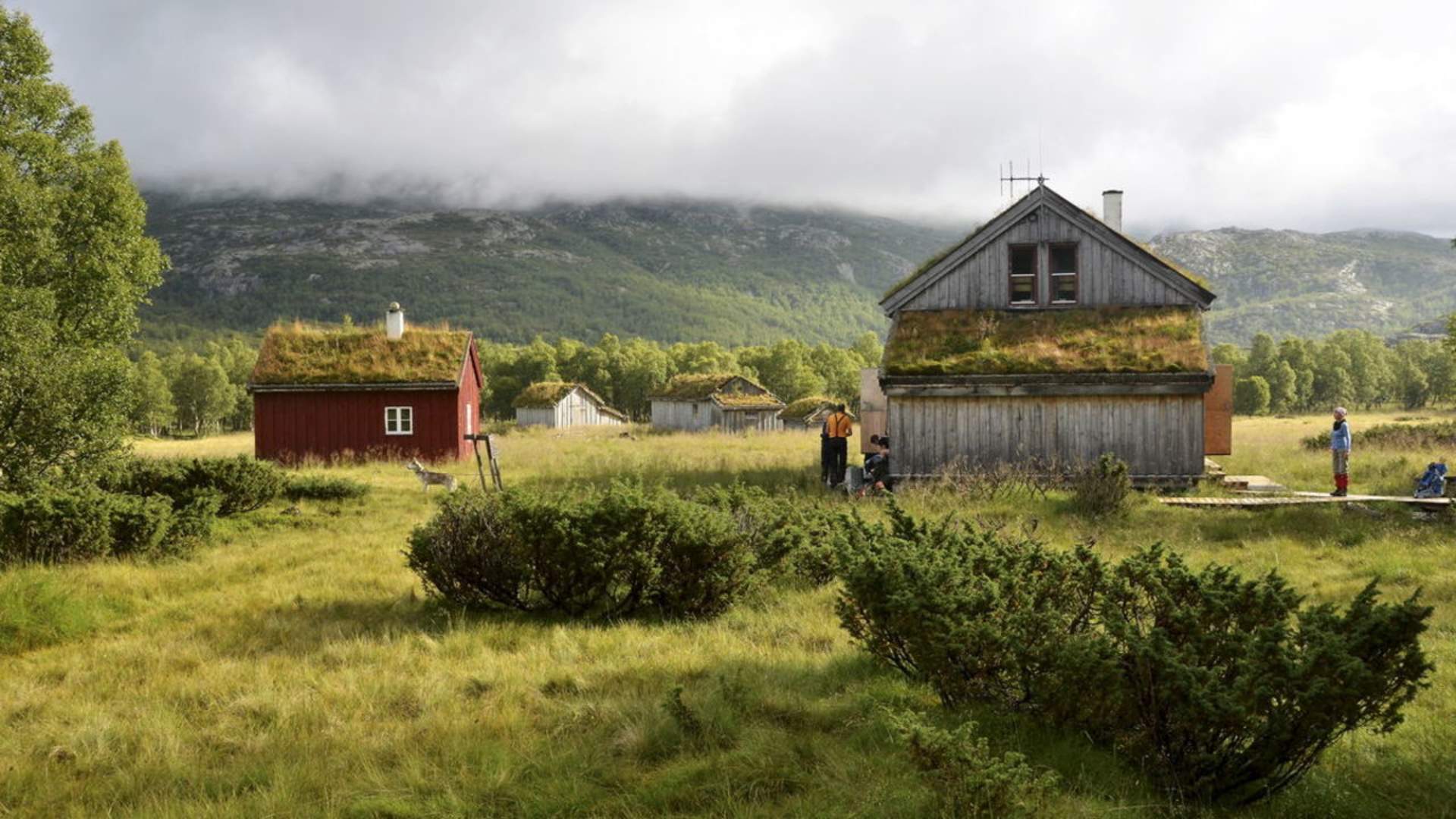 Bleskestadmoen i Suldal