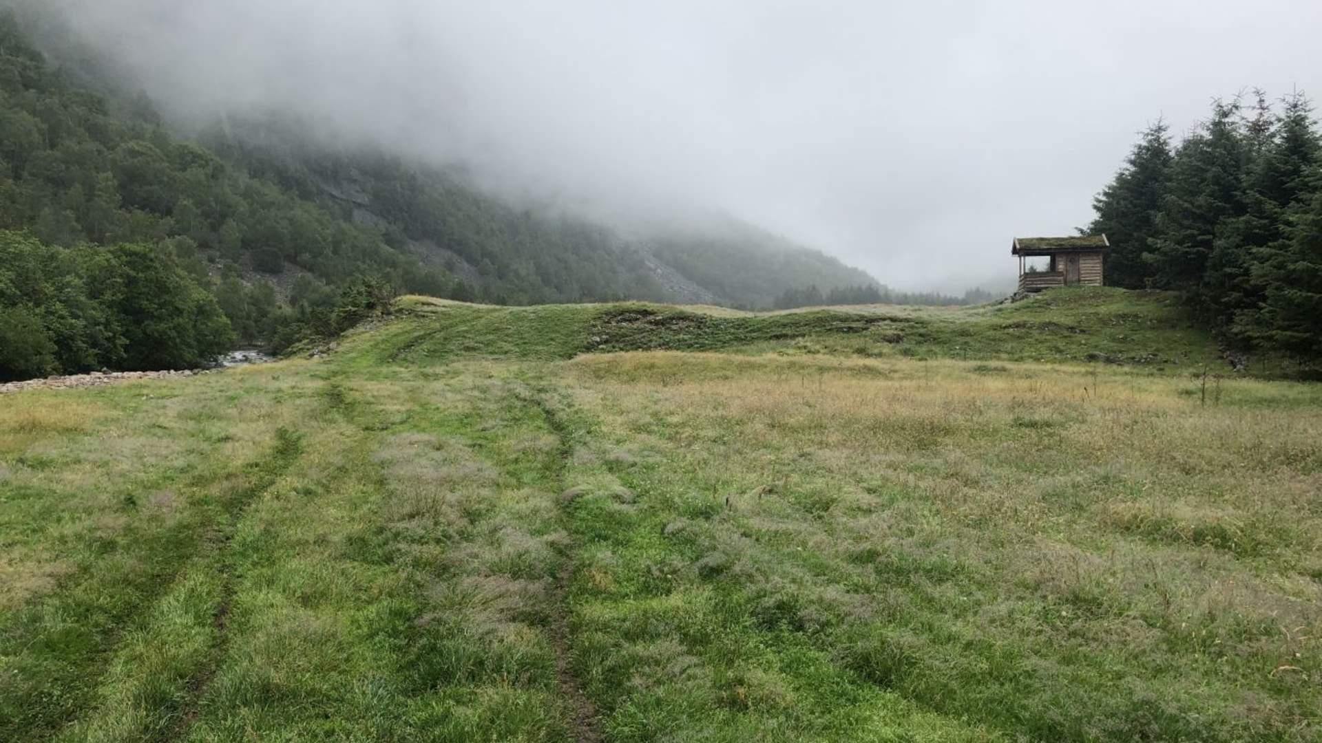 Hjøringsletta/Moen i Lysedalen