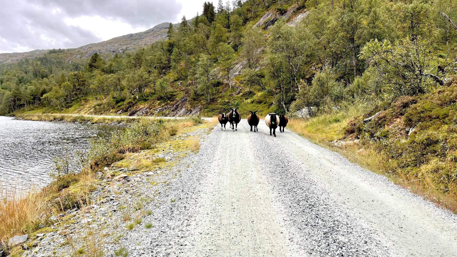 Fahrradtour von Nesflaten zum Mosvatnet in Suldal