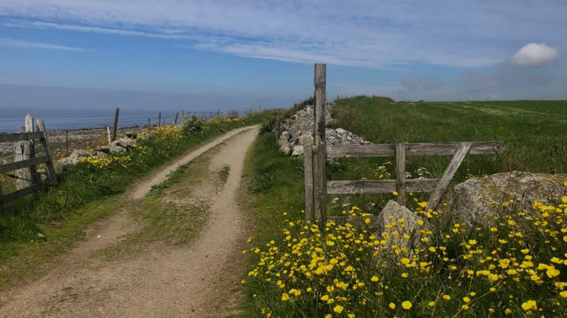 kongevegen a walking path along the Jæren coastline in the south western part of Norway.