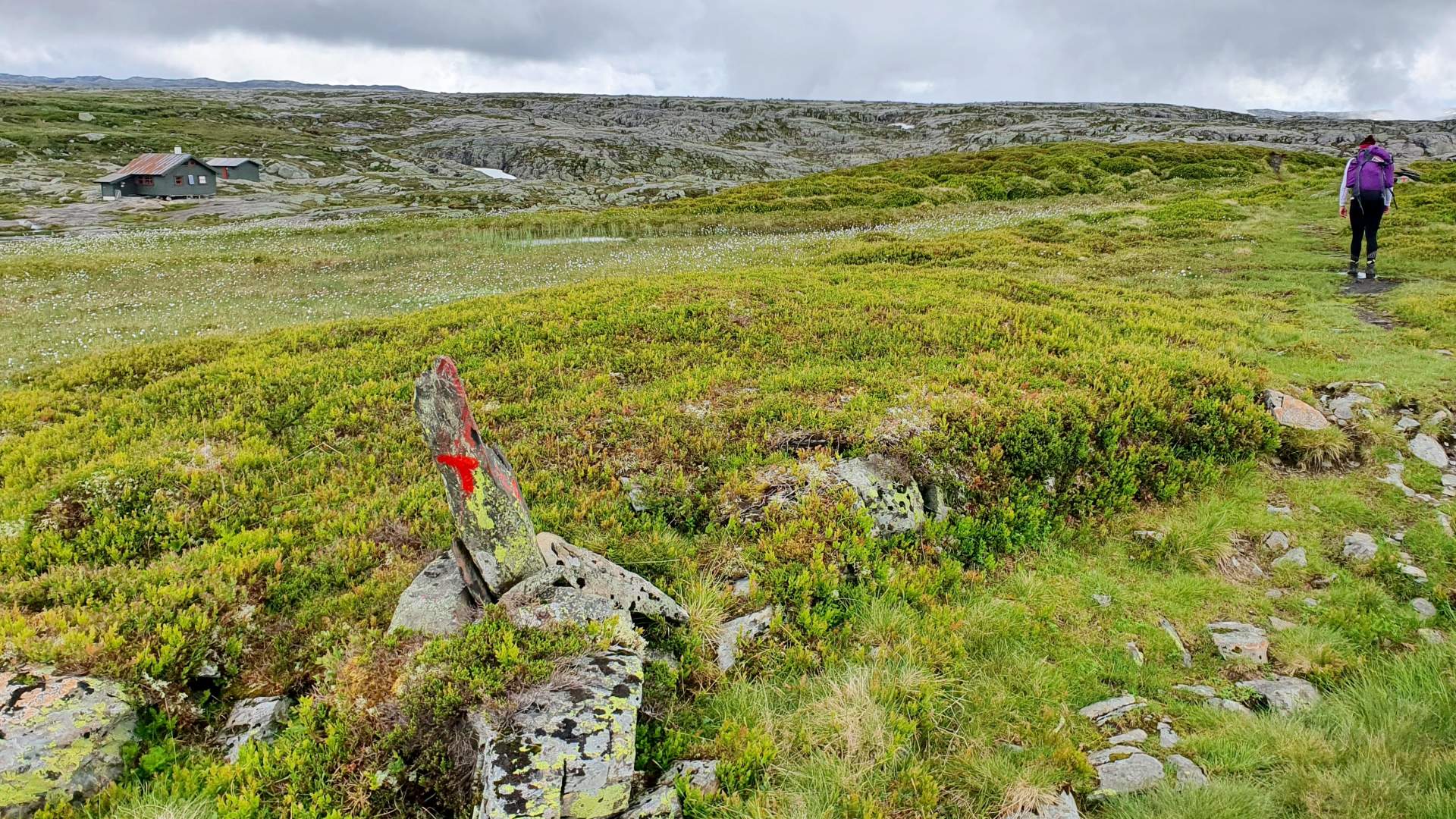Melands Grønahei in Hjelmelandheiene
