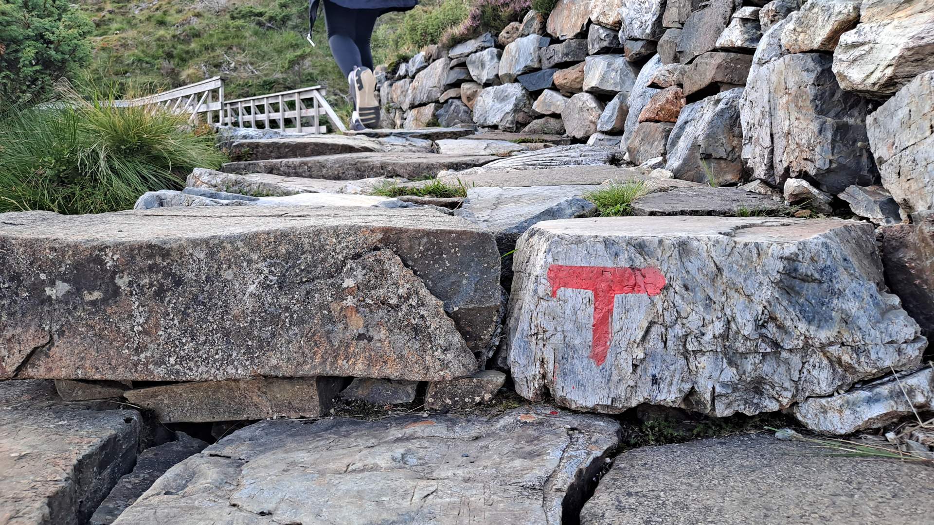 Turen er godt merka med raude T-ar.