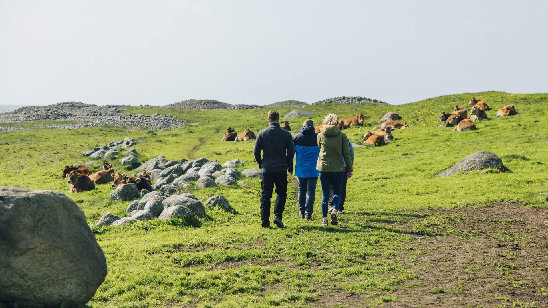 Beitemark ved Kvassheim