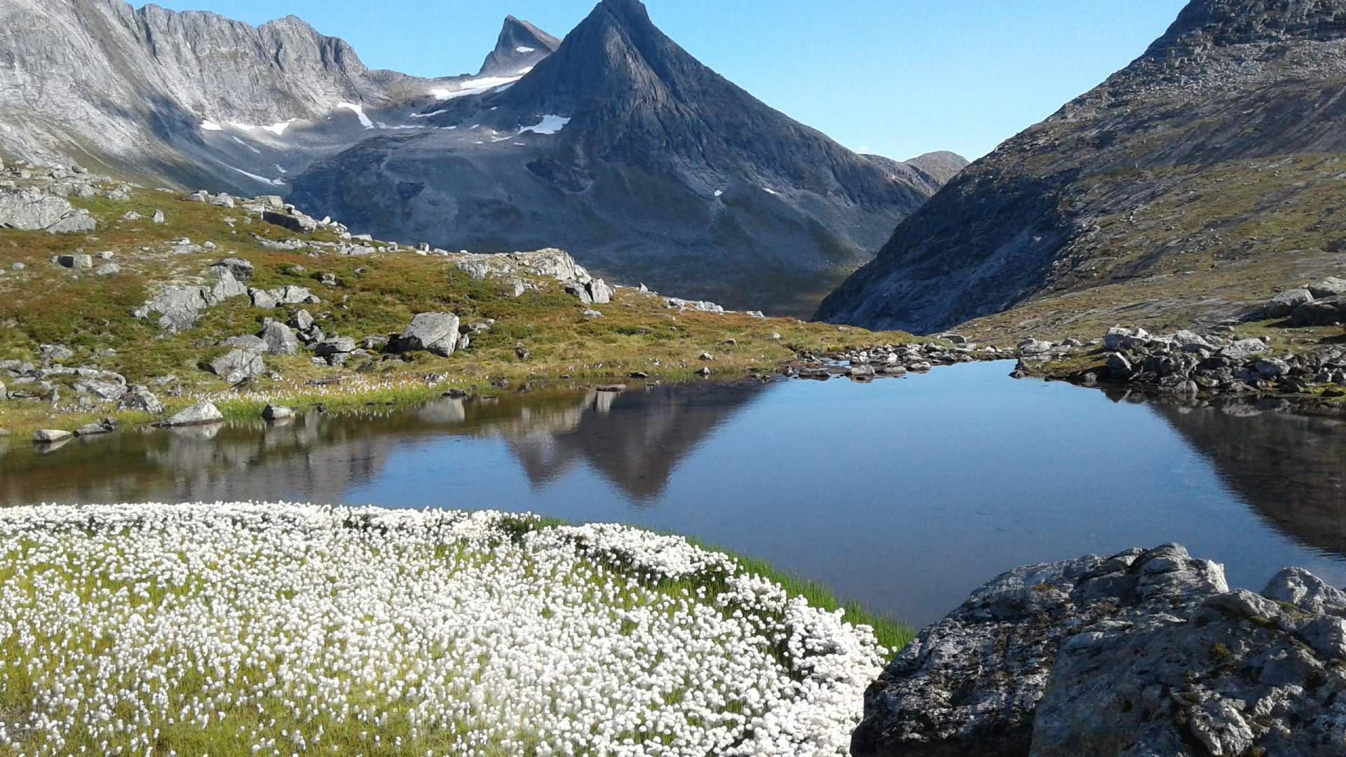 Fjelltur til Goksøyra (1337 m.o.h.)