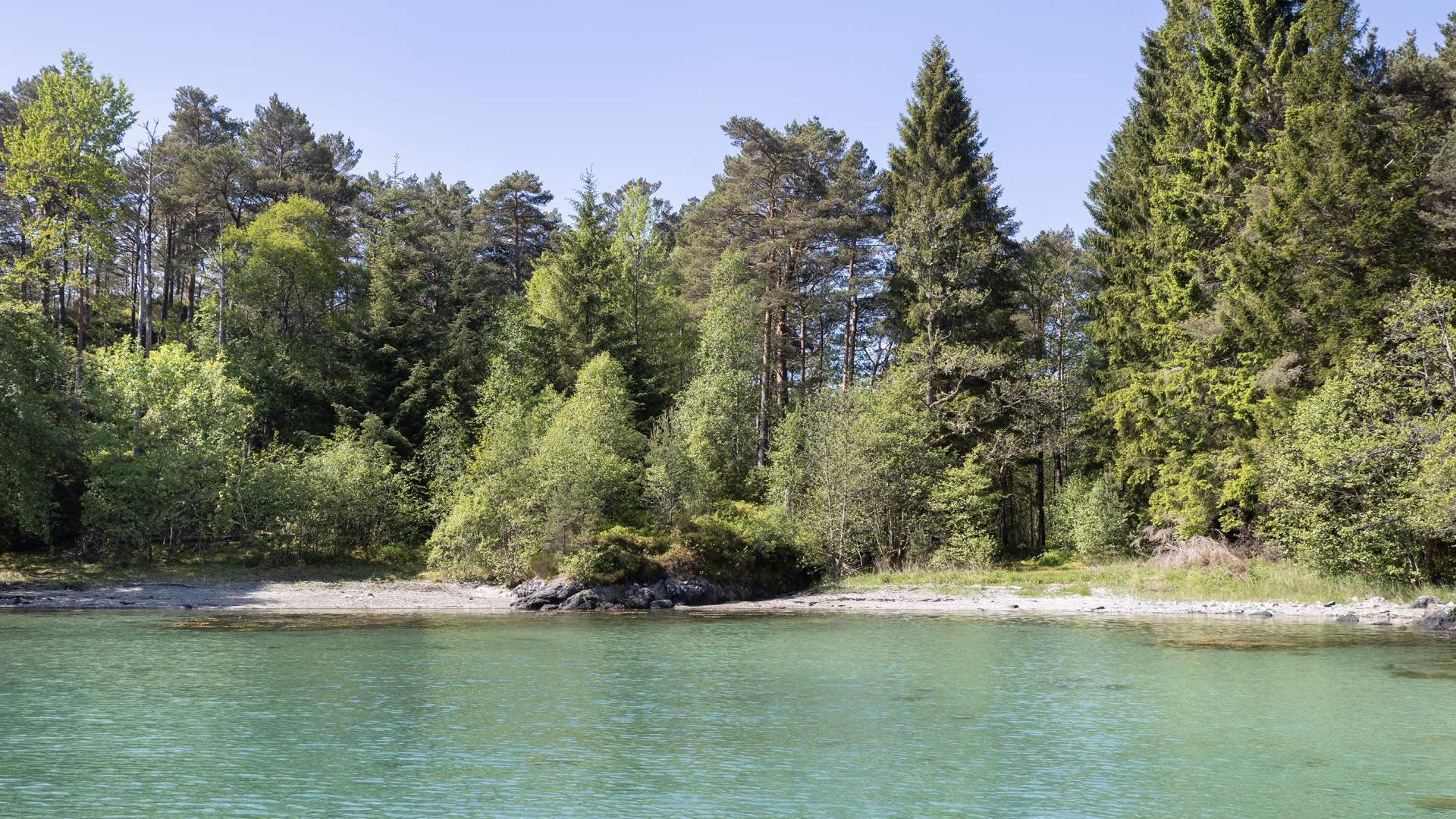 Pålsvika badestrand