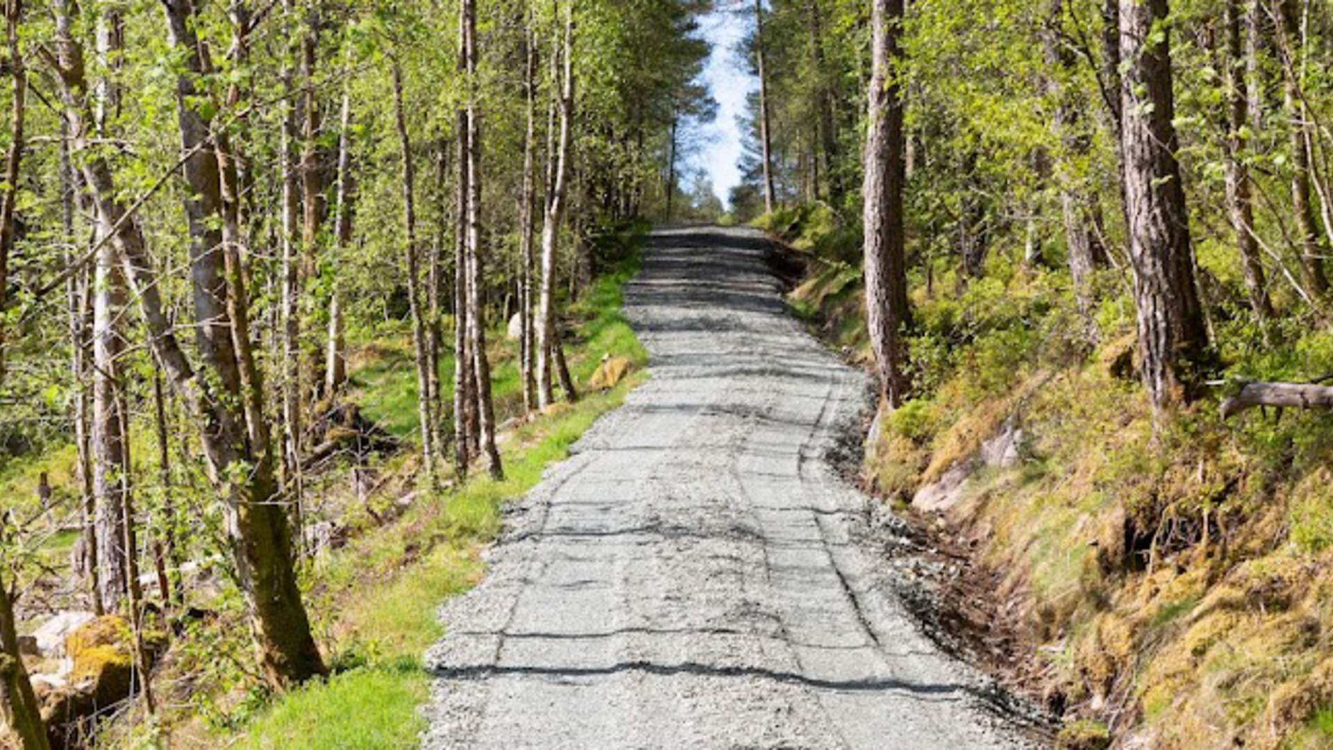 Turvegen mot Miklastofa