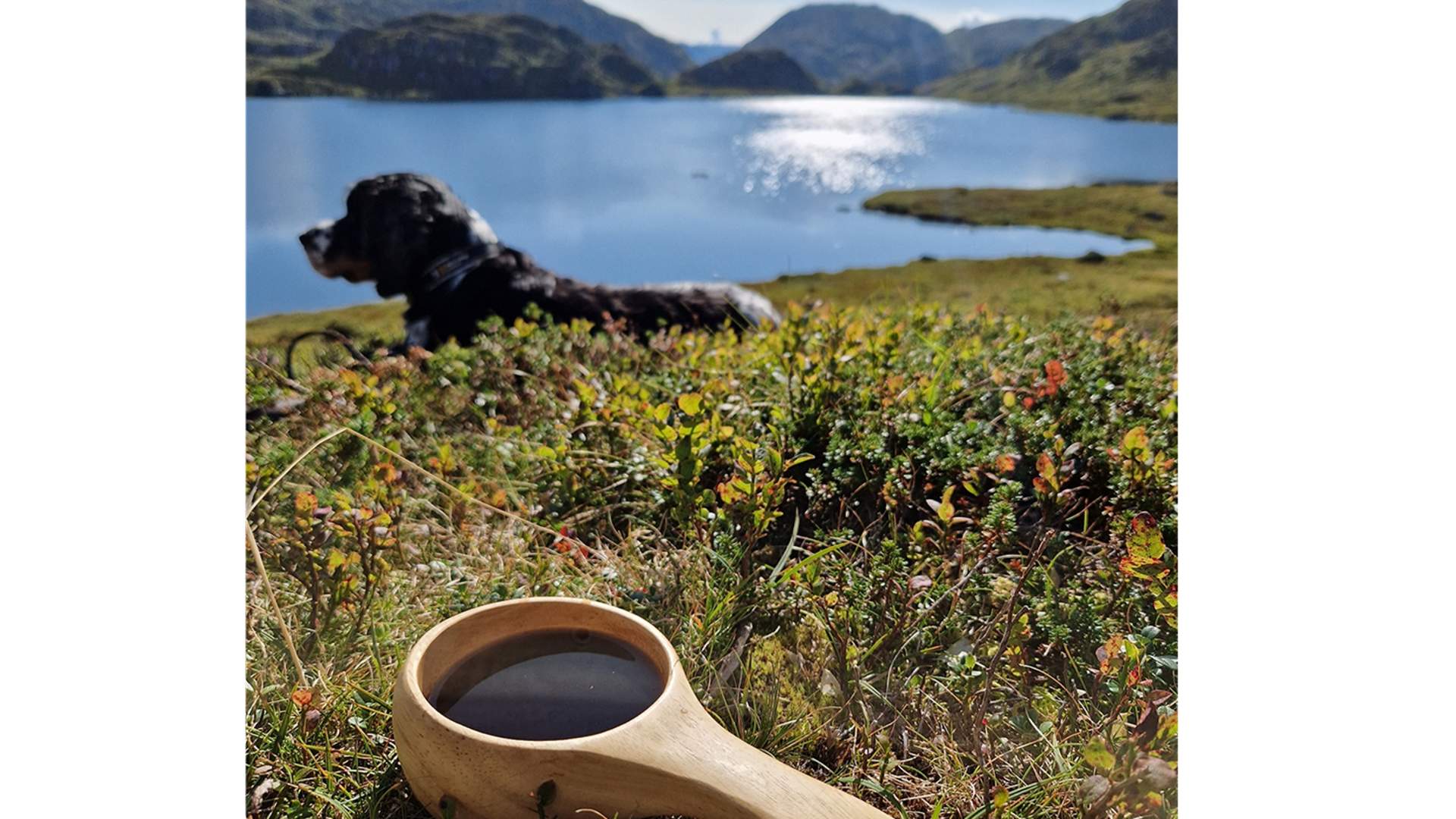 Nydeleg utsikt frå dagsturhytta Fagnabu