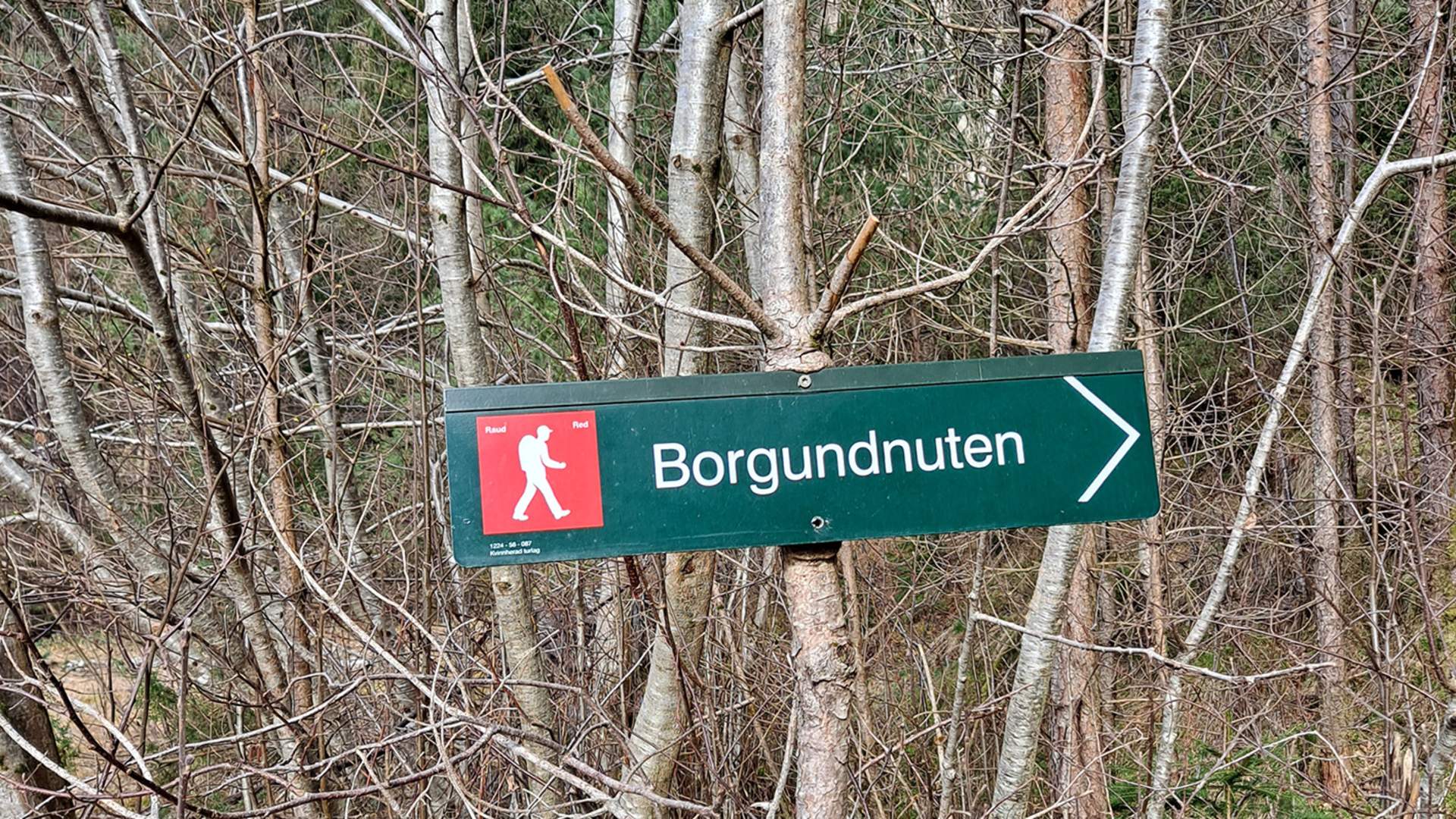 Merking på veg mot Borgundnuten