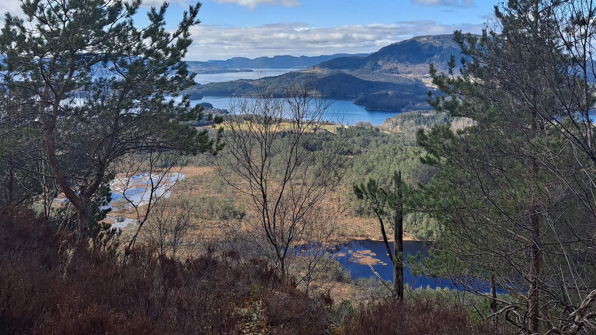 Frå toppen av Sydnessåta