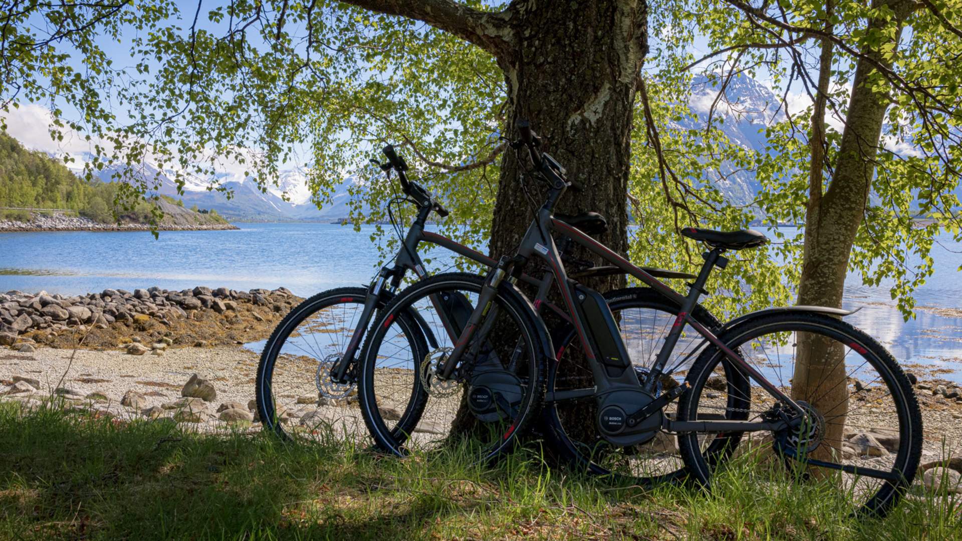 E-bike trip to Kolmanneset in Åndalsnes