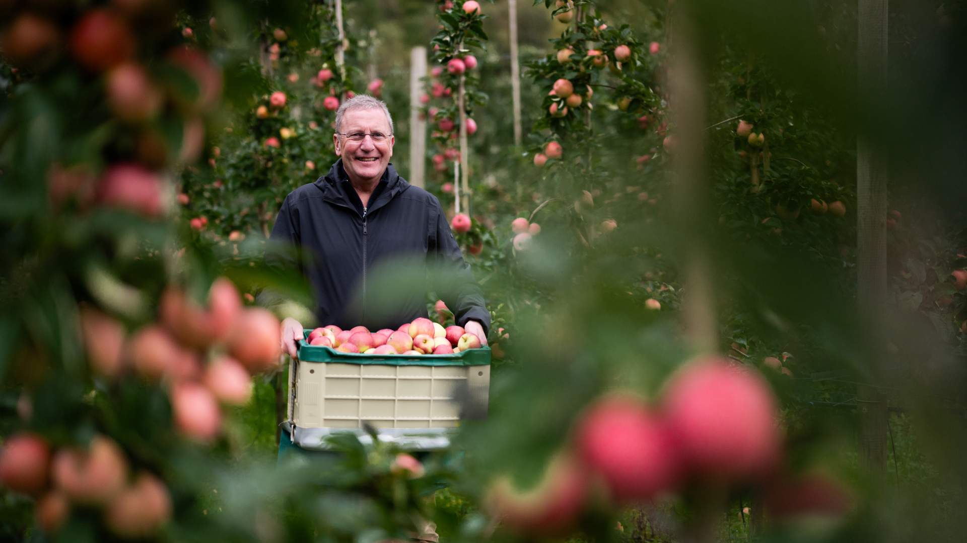 Bauernladen und Cider-Verkostung bei OmCider in Hjelmeland