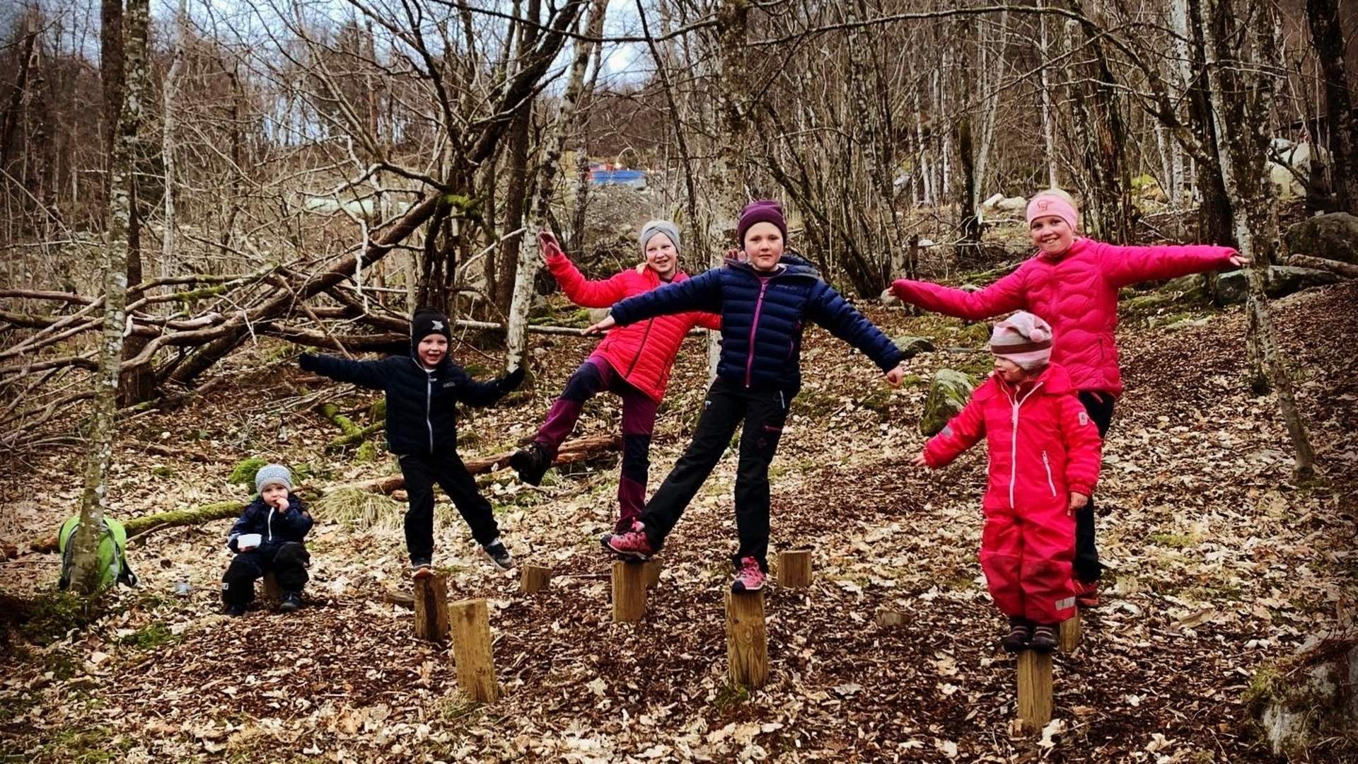 The Fairytale Forest in Sauda