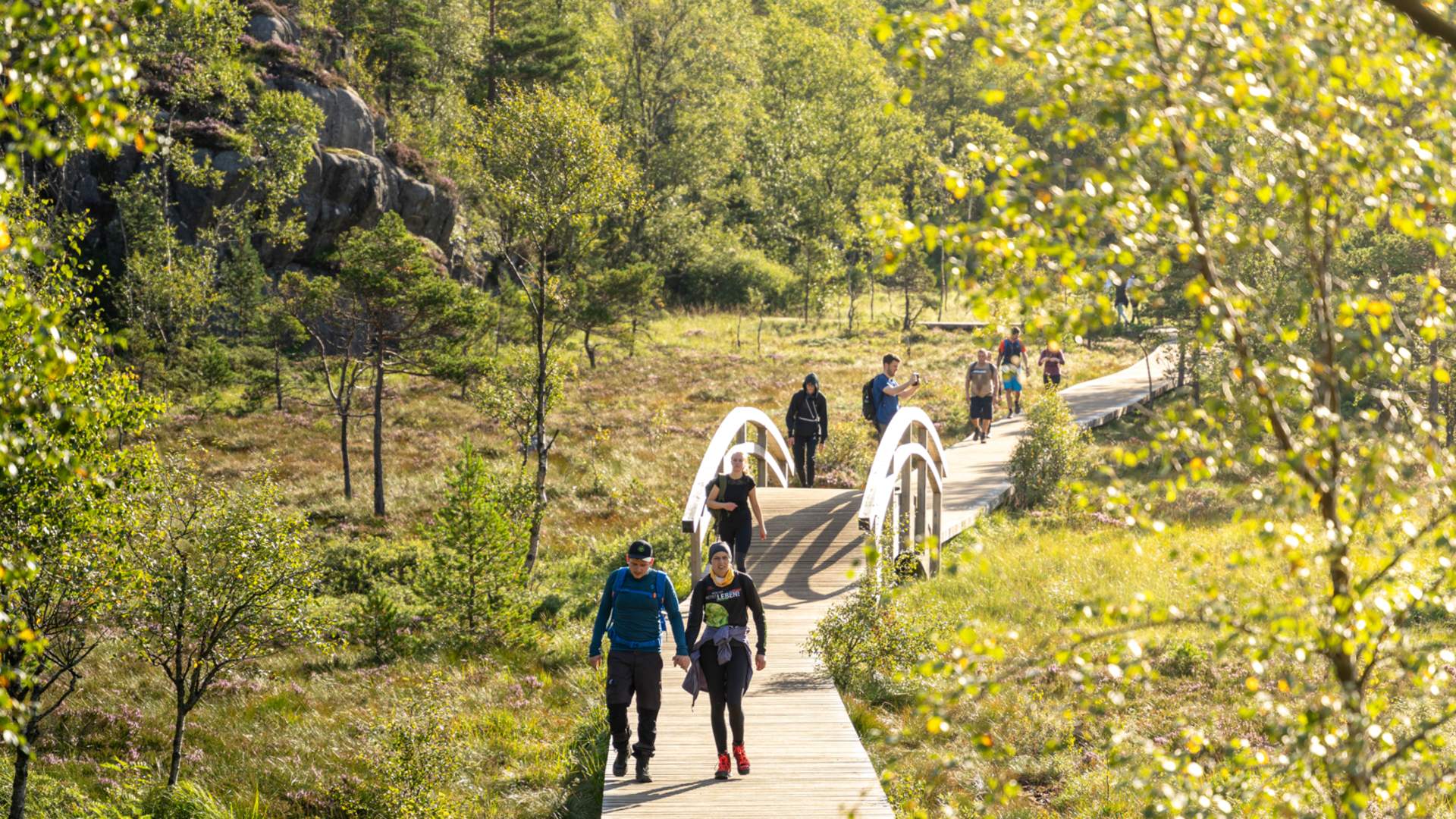 Preikestolen/Lysefjorden