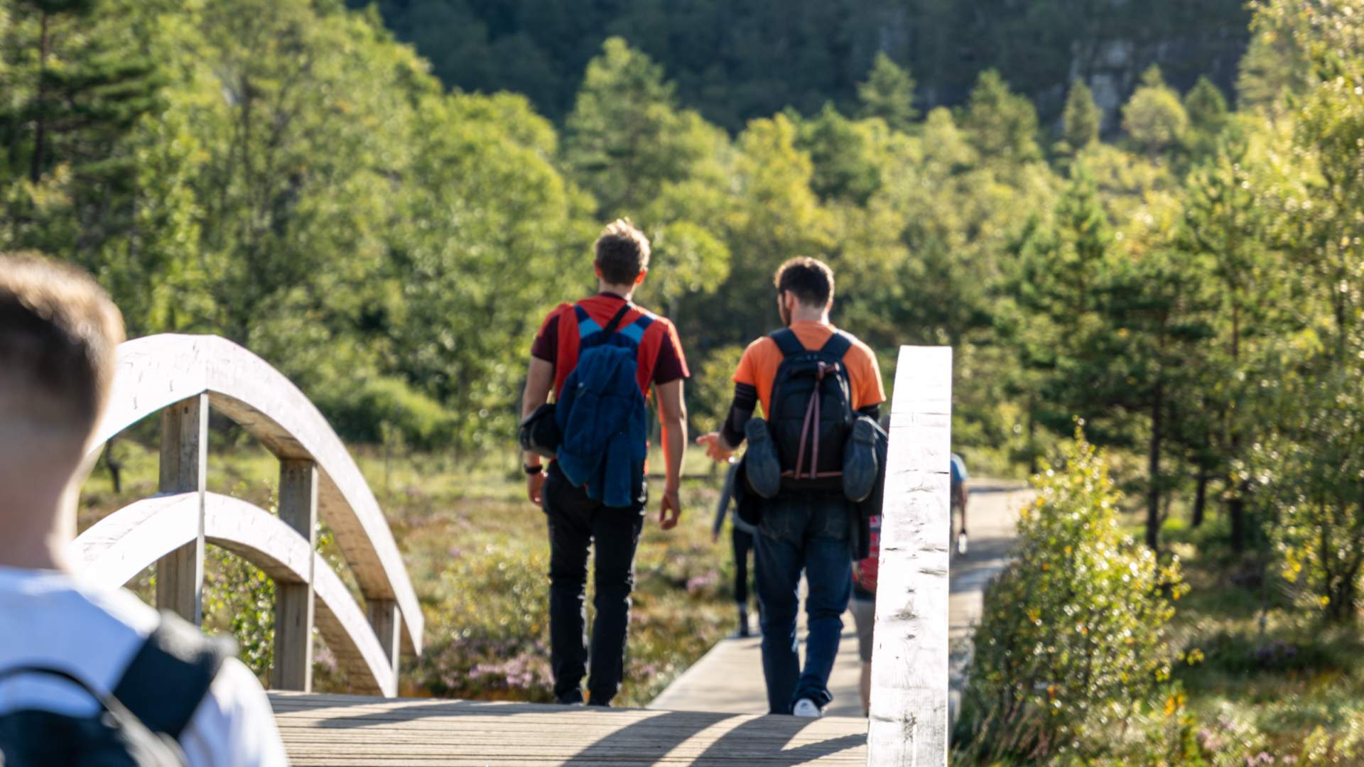 Preikestolen/Lysefjorden