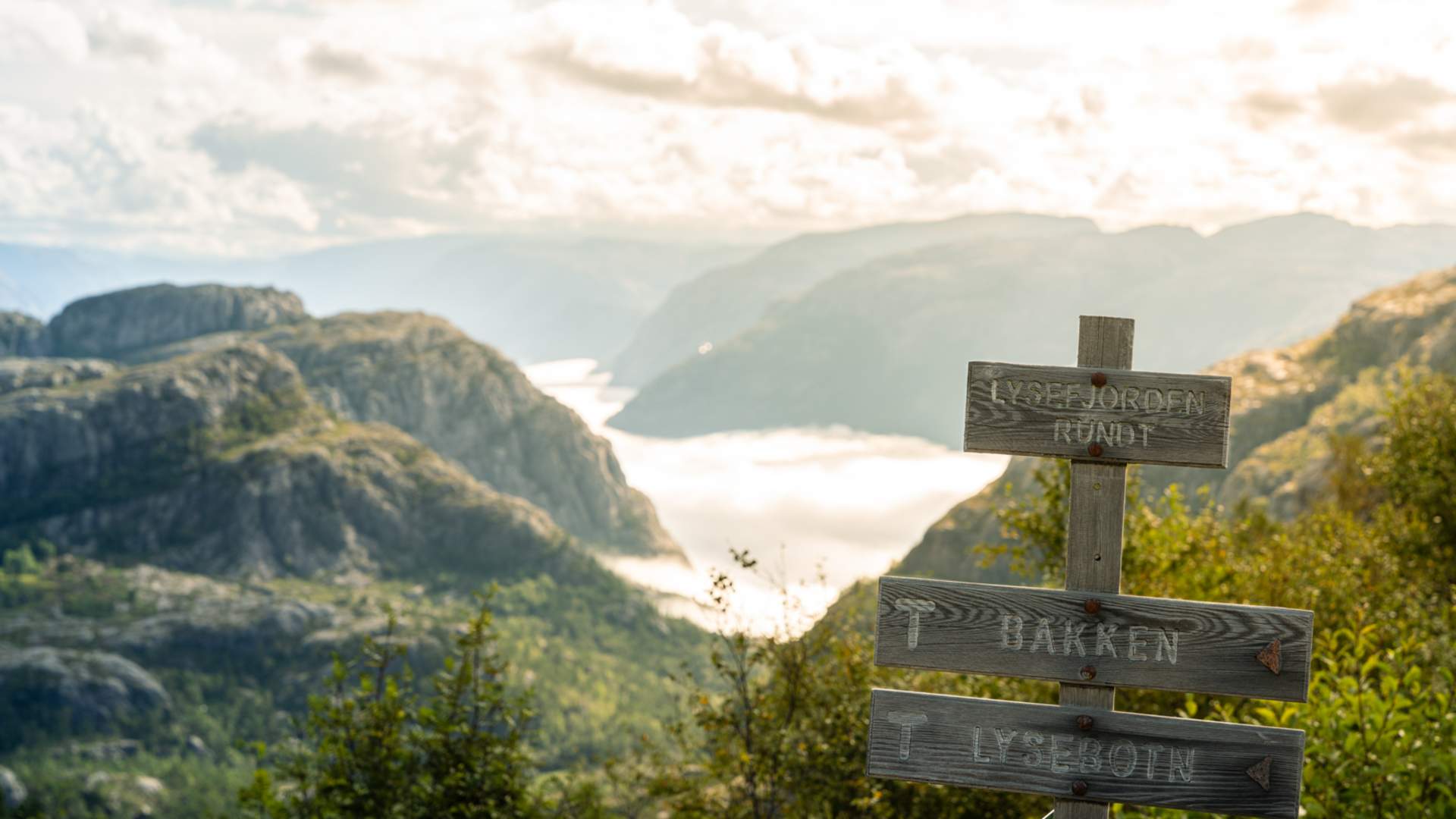 Preikestolen/Lysefjorden