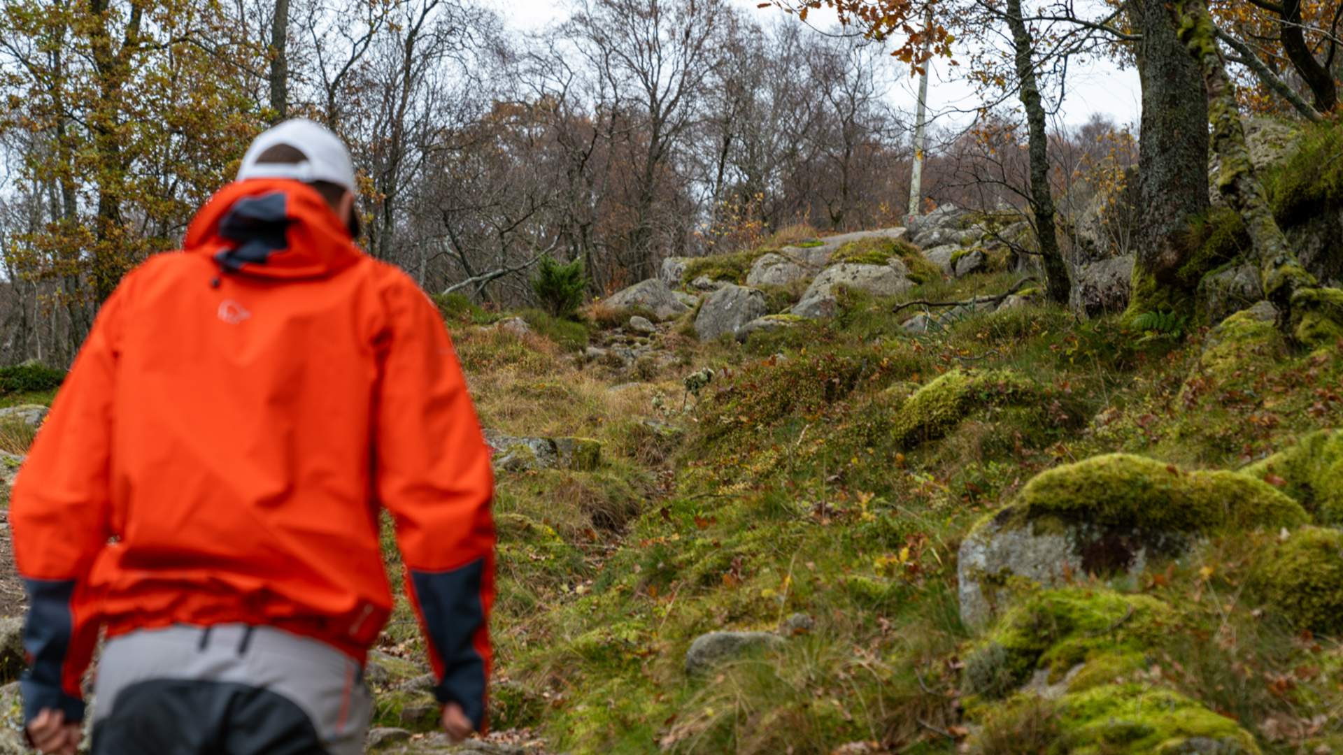 Hike to Månafossen and Dalsnuten