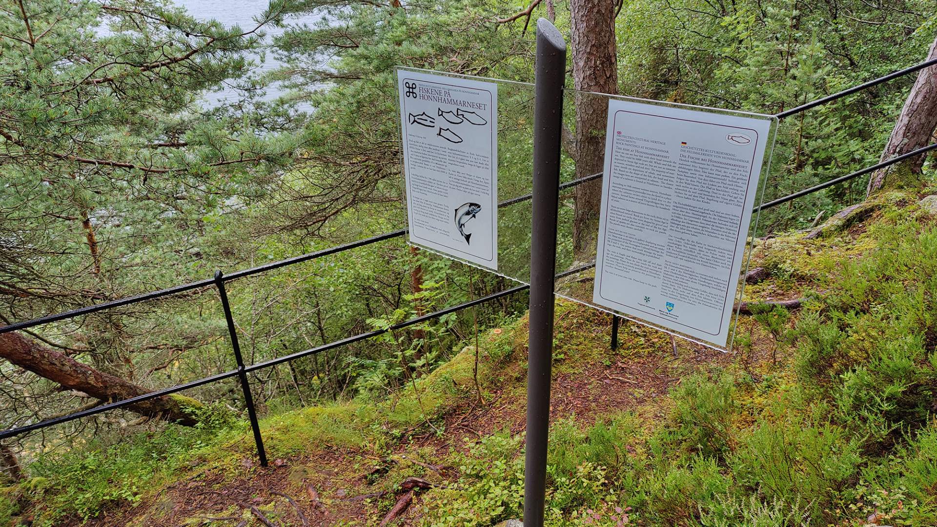 Norges største bergmalingsfelt - Honnhammaren
