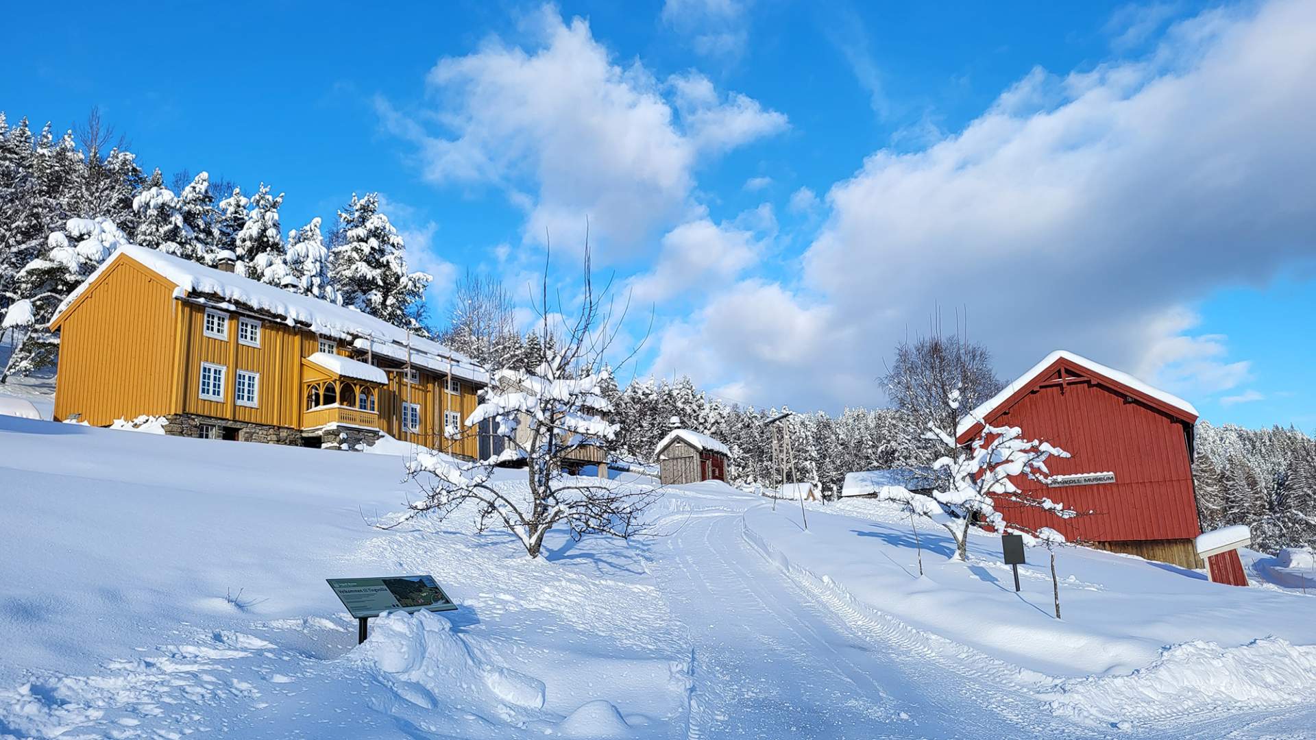 Skitur på Reitfjellet i Tingvoll