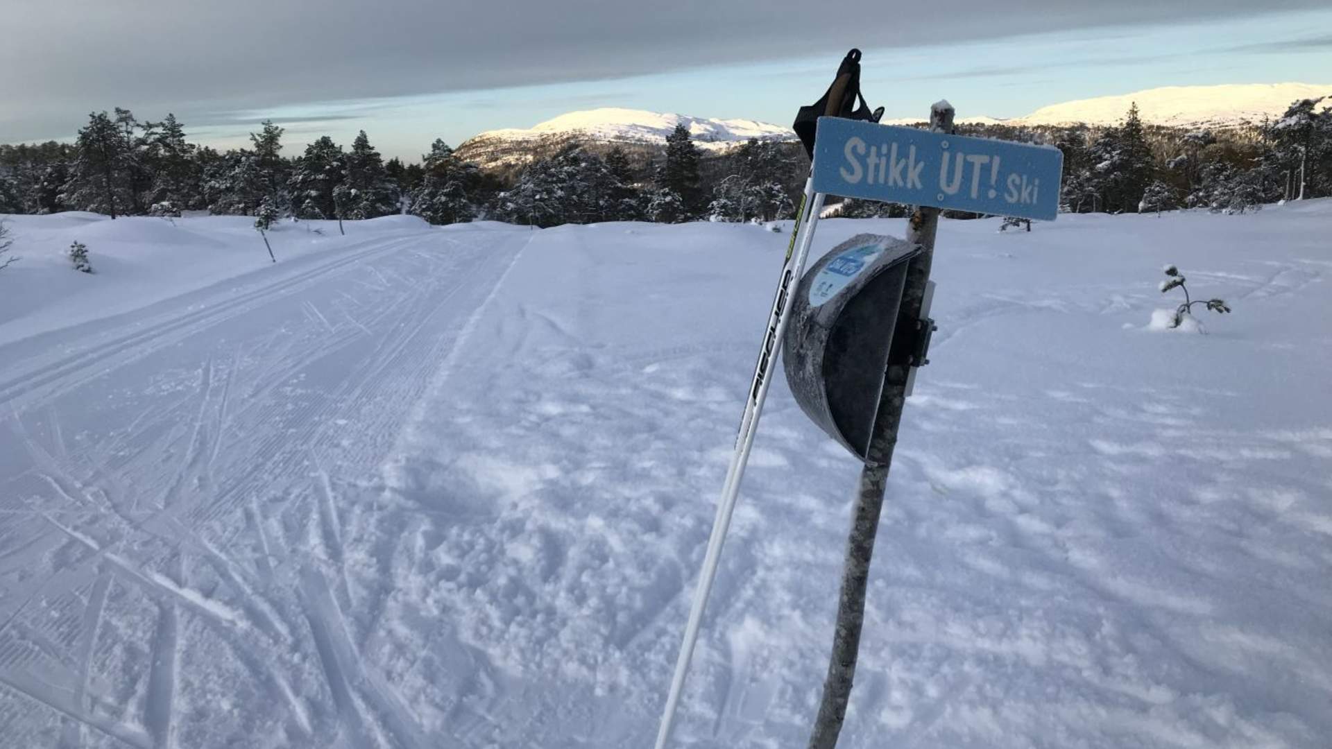 Skitur på Reitfjellet i Tingvoll