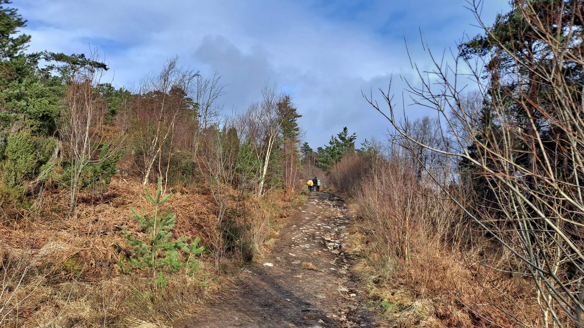 Turen til Toftåsen og Åsatinget passar fint for alle generasjonar