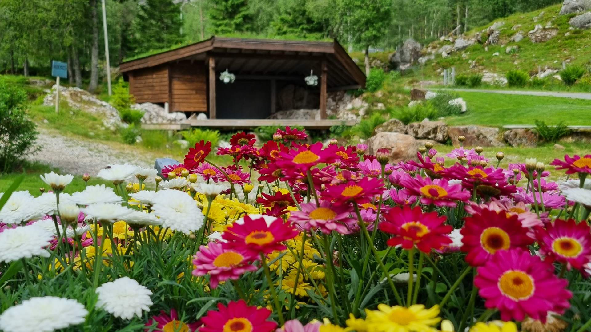 Sirdal Huskyfarm Camping