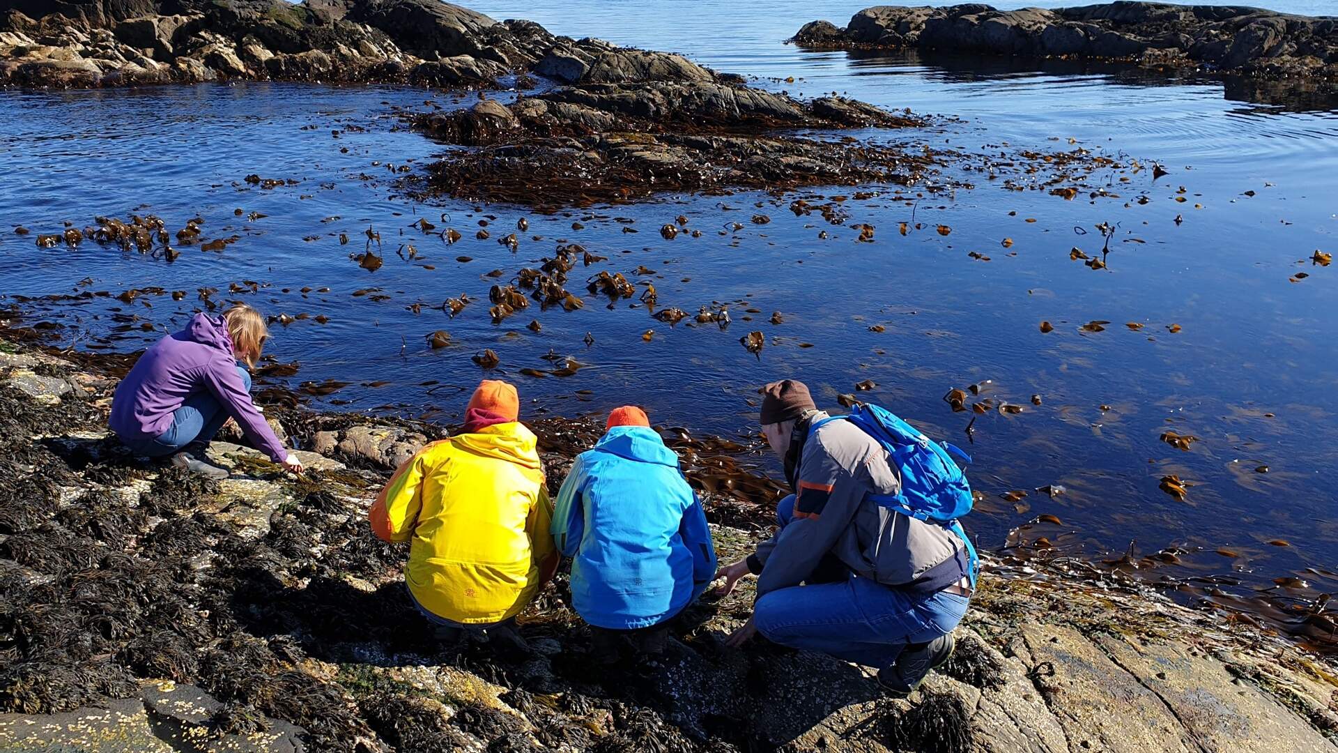 Tangsafari på Runde