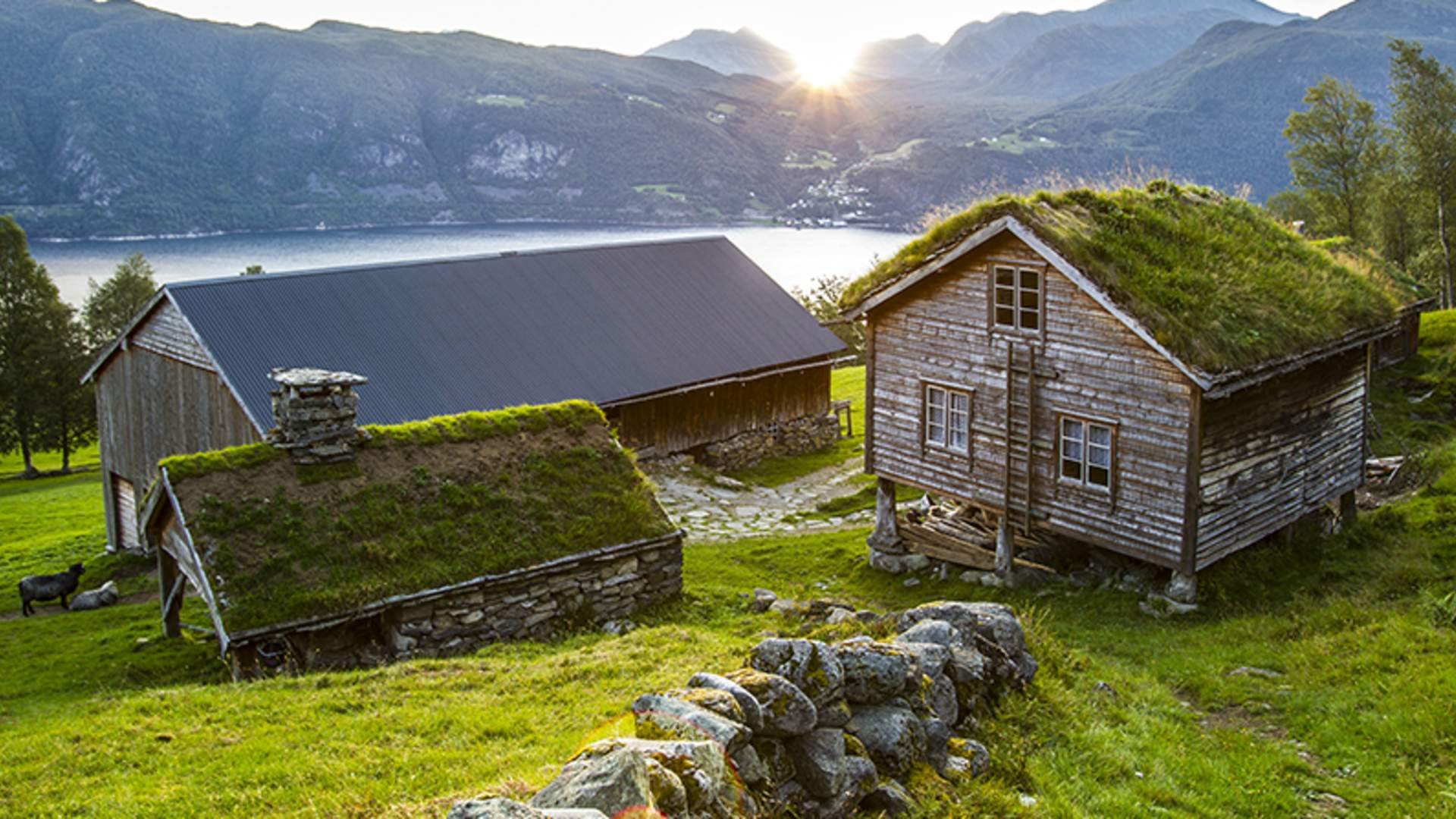 Flotte opplevelser og besøk på turen fra Ålesund til Geiranger