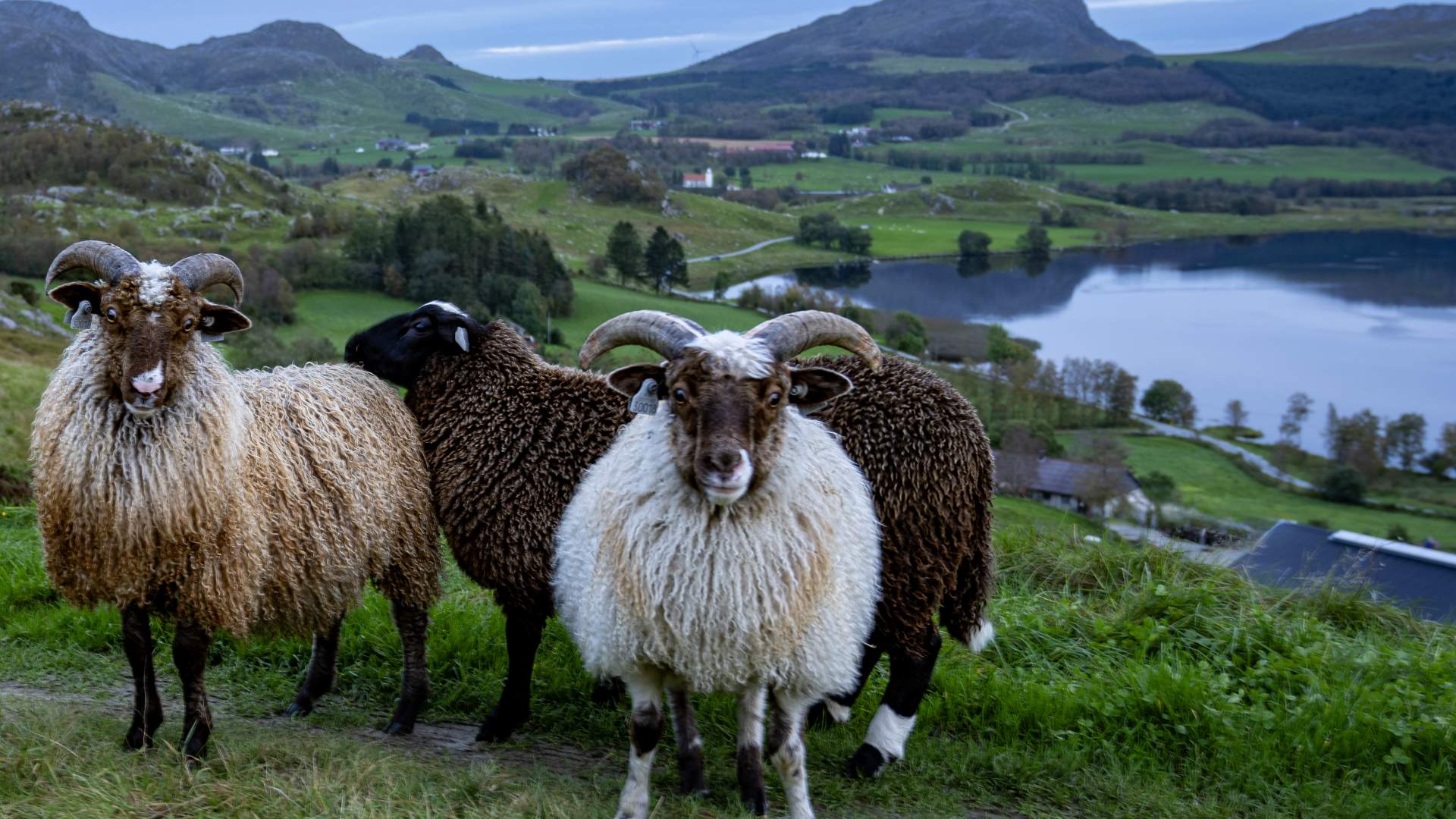 Hike to Lima Eikefjellet
