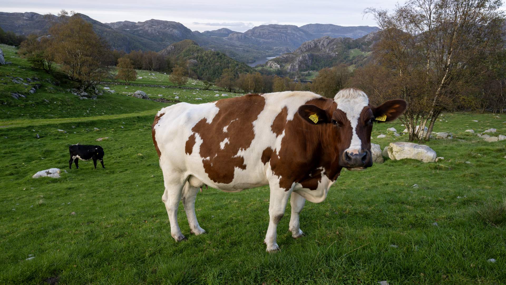Hike to Lima Eikefjellet
