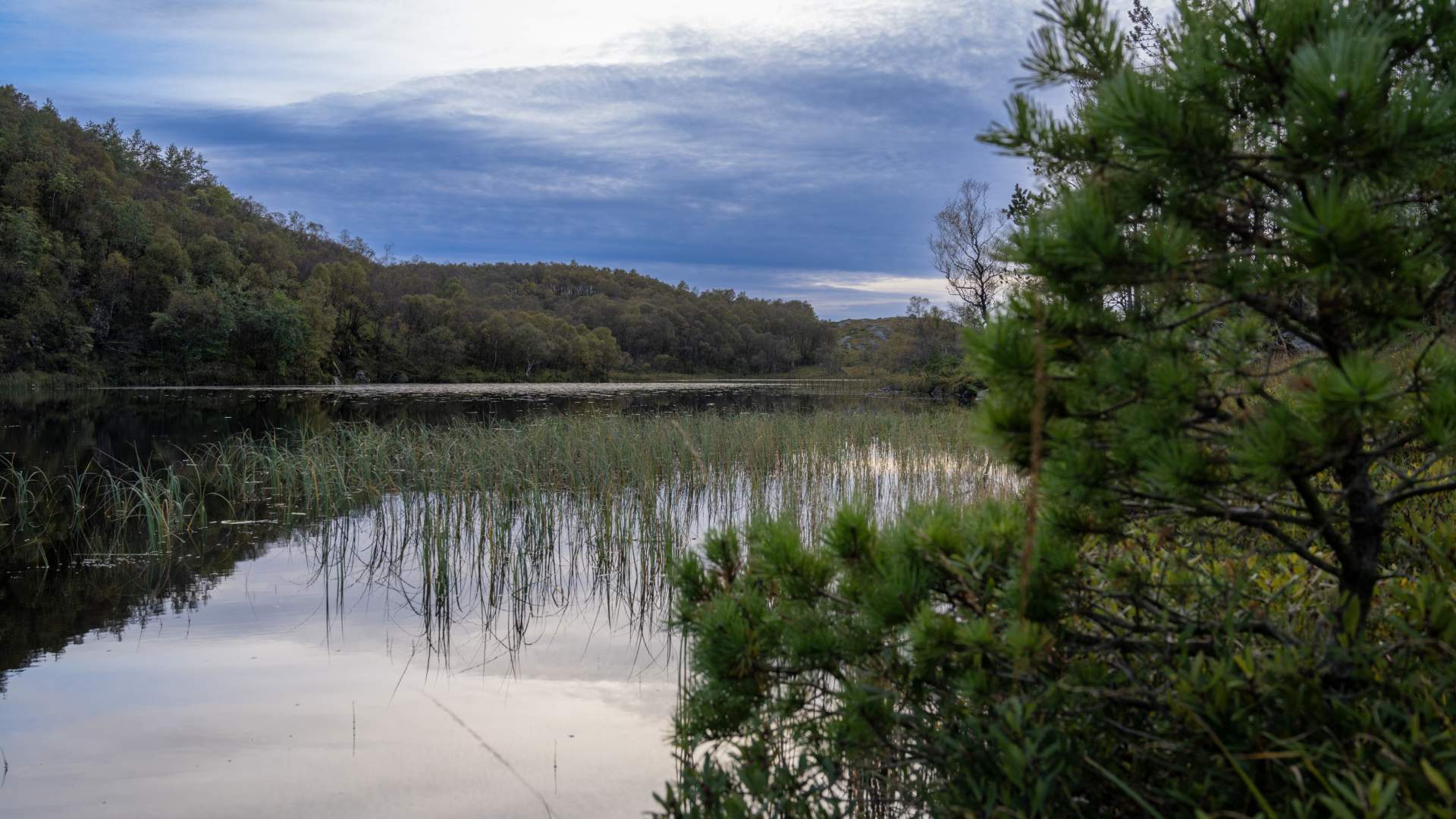 Hike to Lima Eikefjellet
