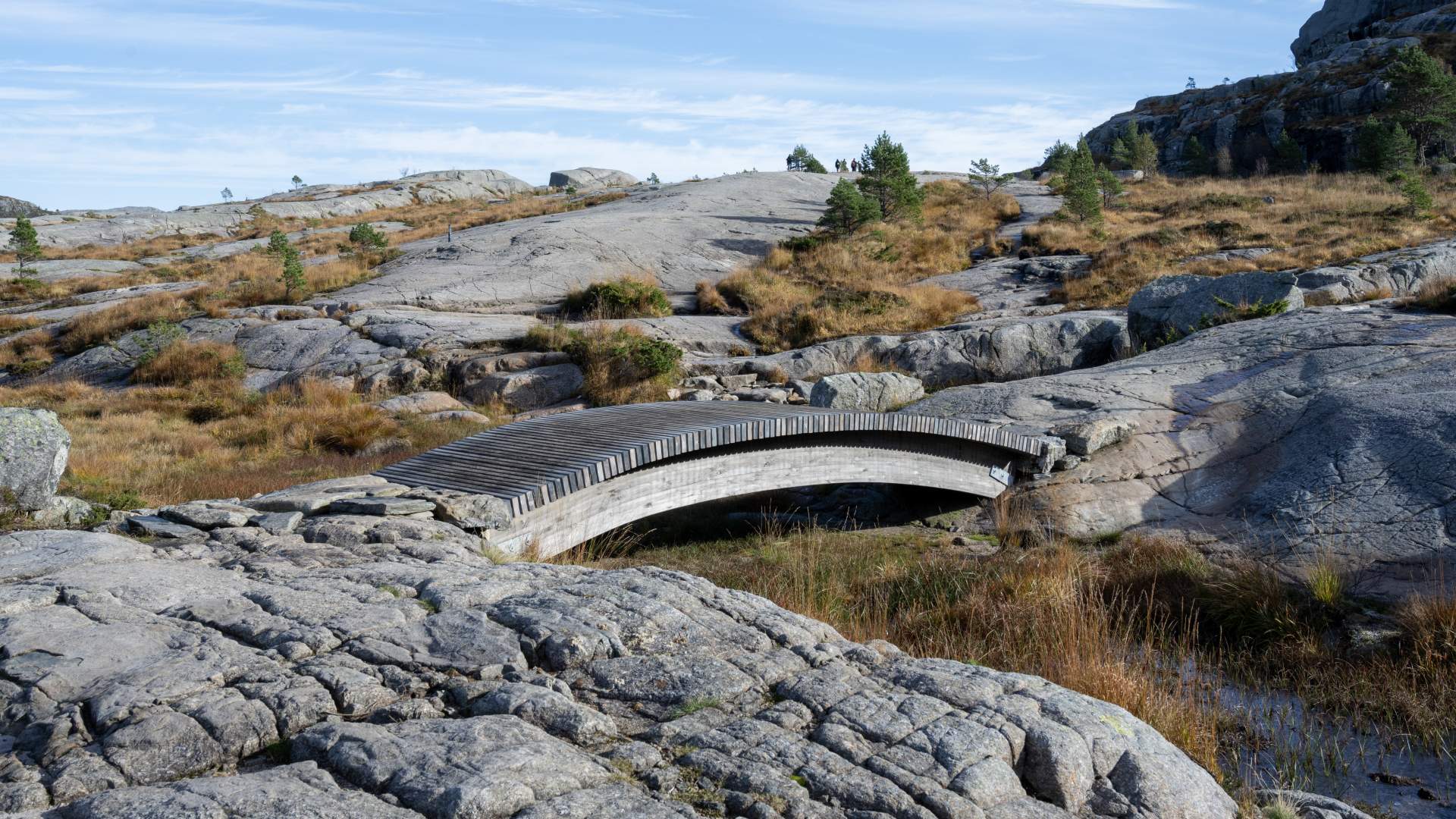 Guided hike to Preikestolen