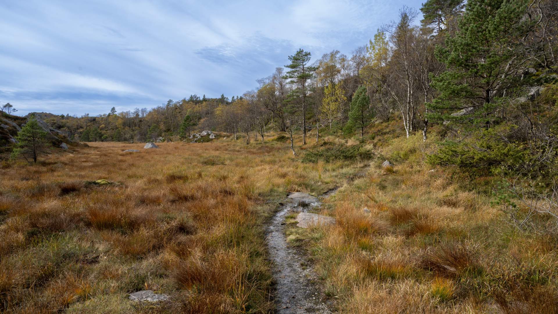 Guided hike to Preikestolen