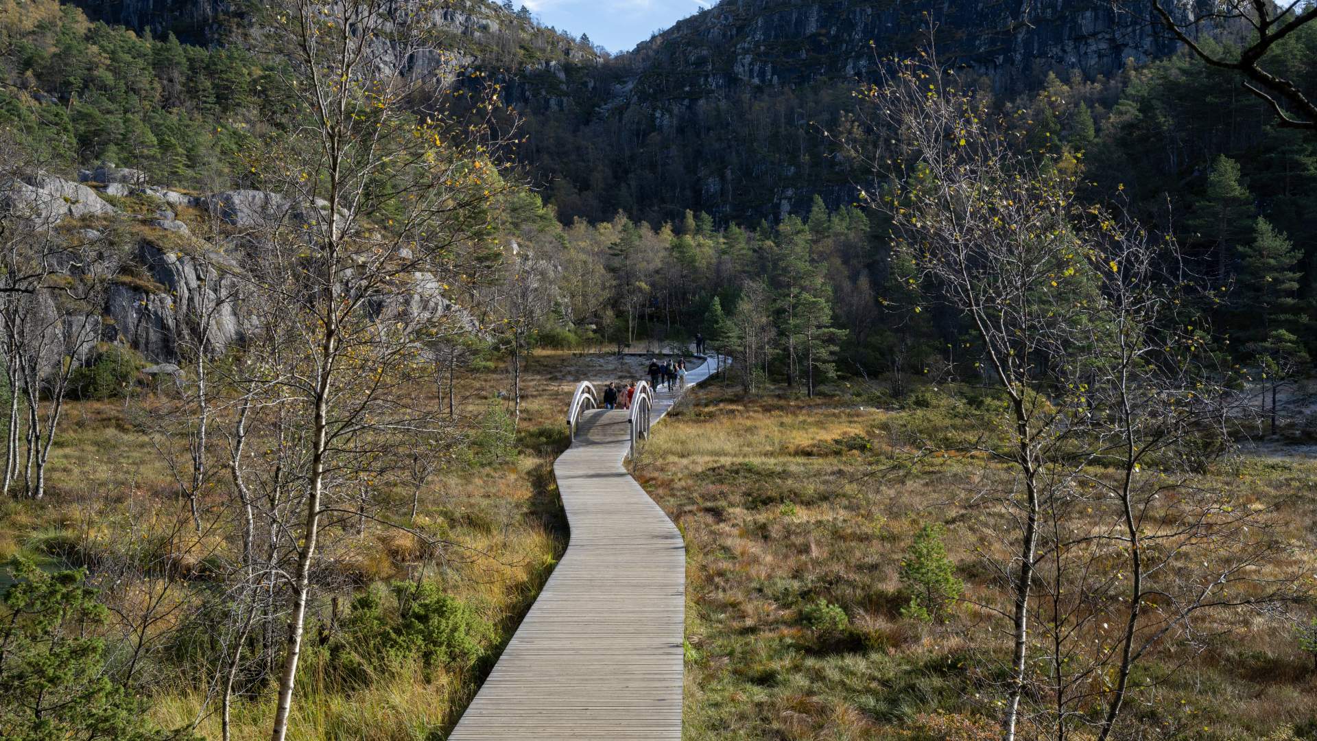 Guided hike to Preikestolen