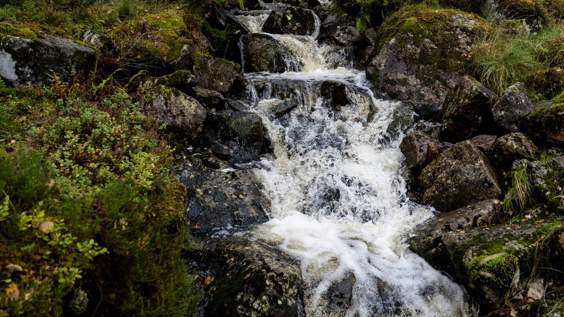 Hike to Ramnstoknuten