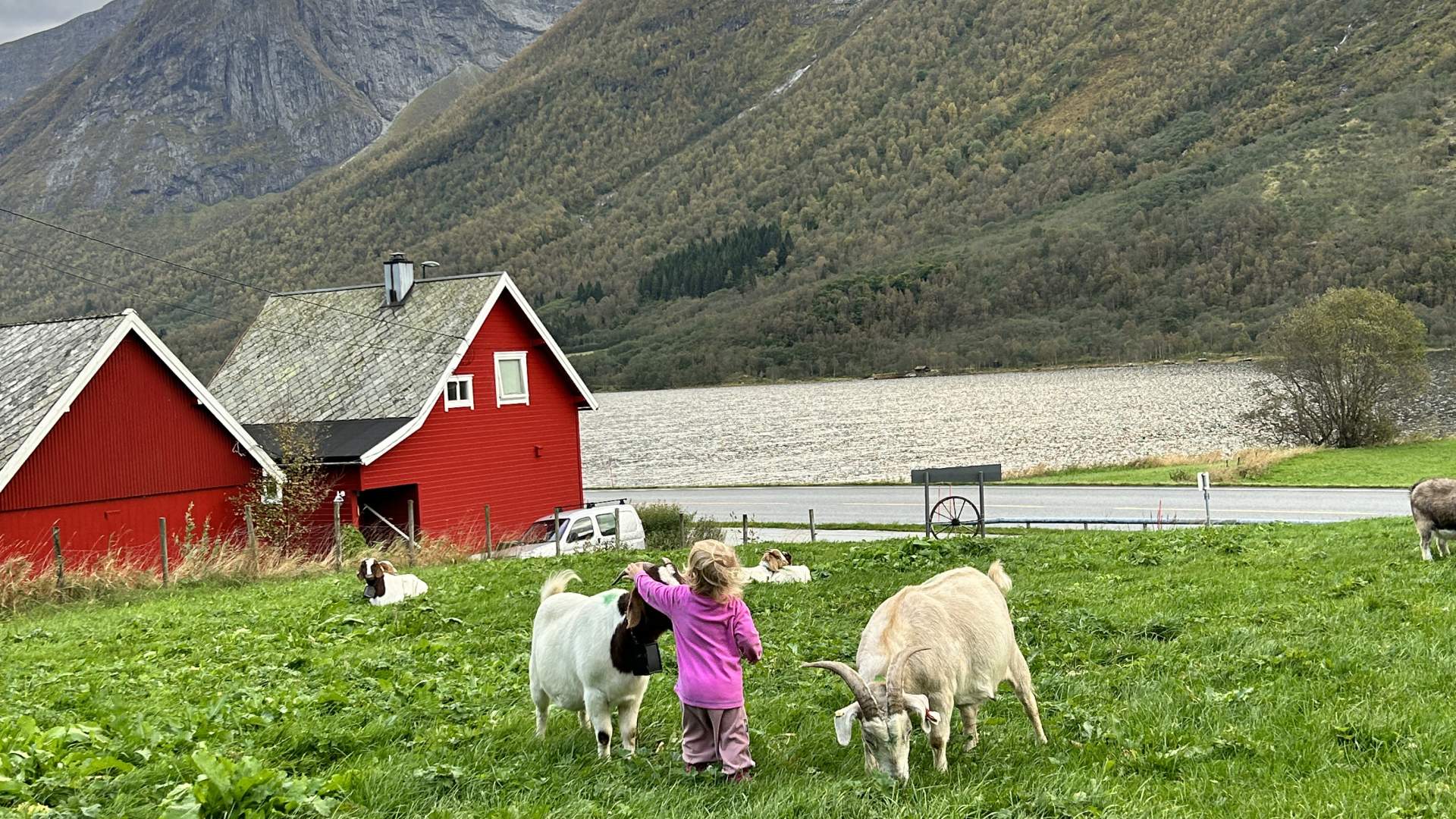 Sosiale Boageiter som synes det er stas med litt kos.