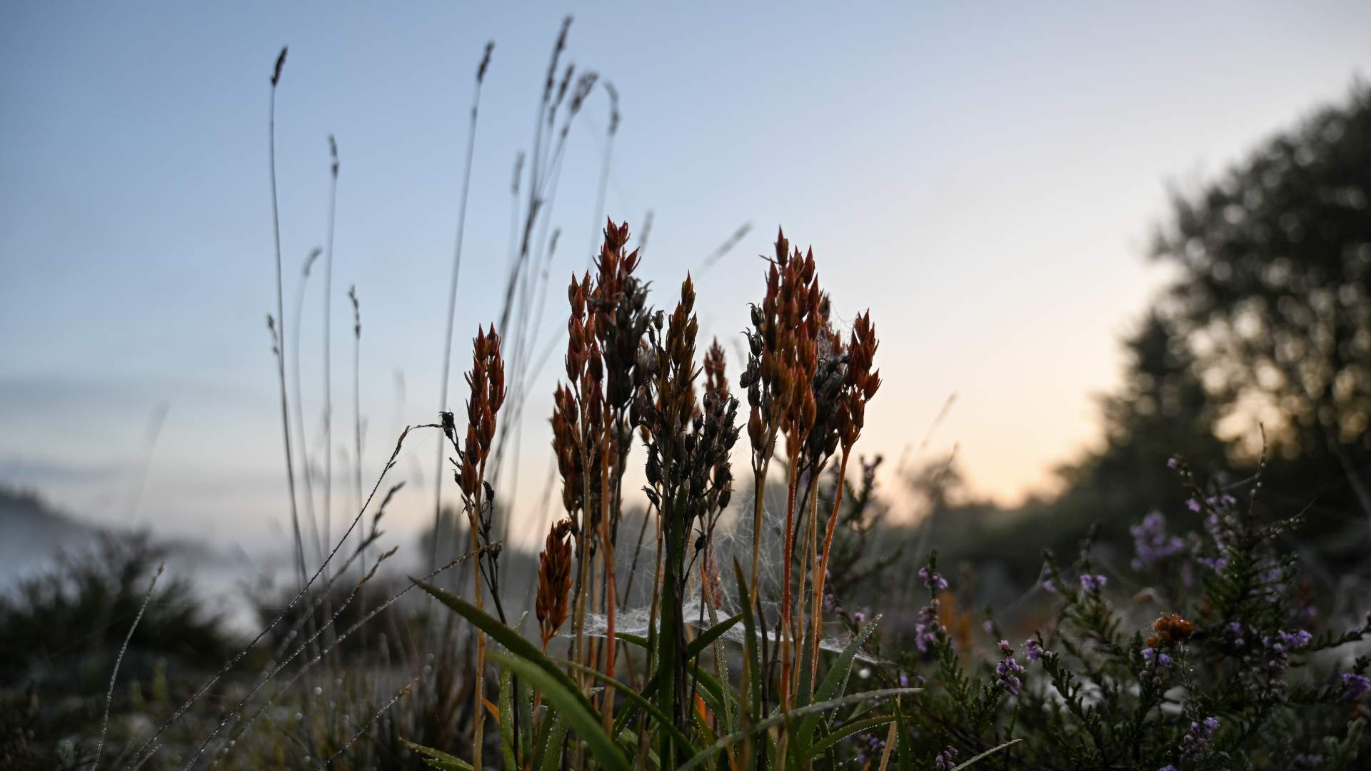 Tur til Pilå på Rennesøy