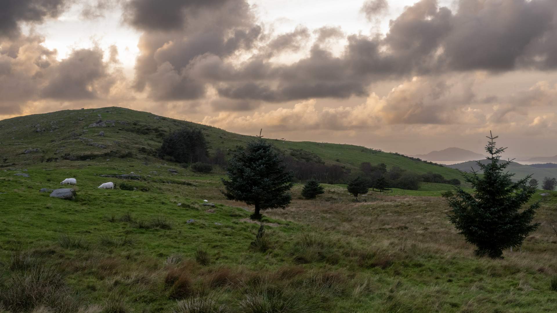 Tur til Pilå på Rennesøy