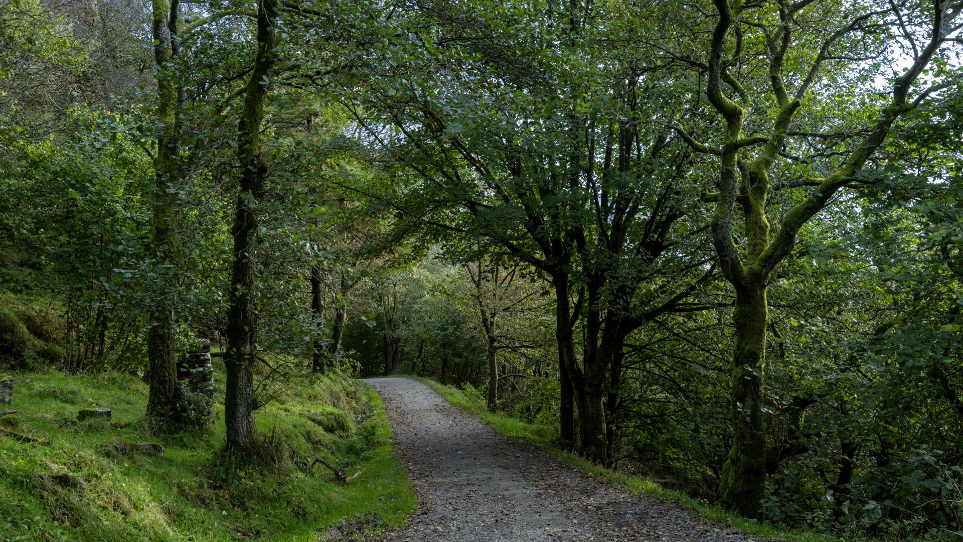 Tur til Pilå på Rennesøy