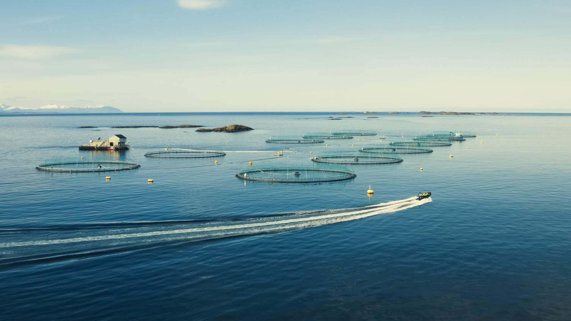 Ribtur til merdkanten