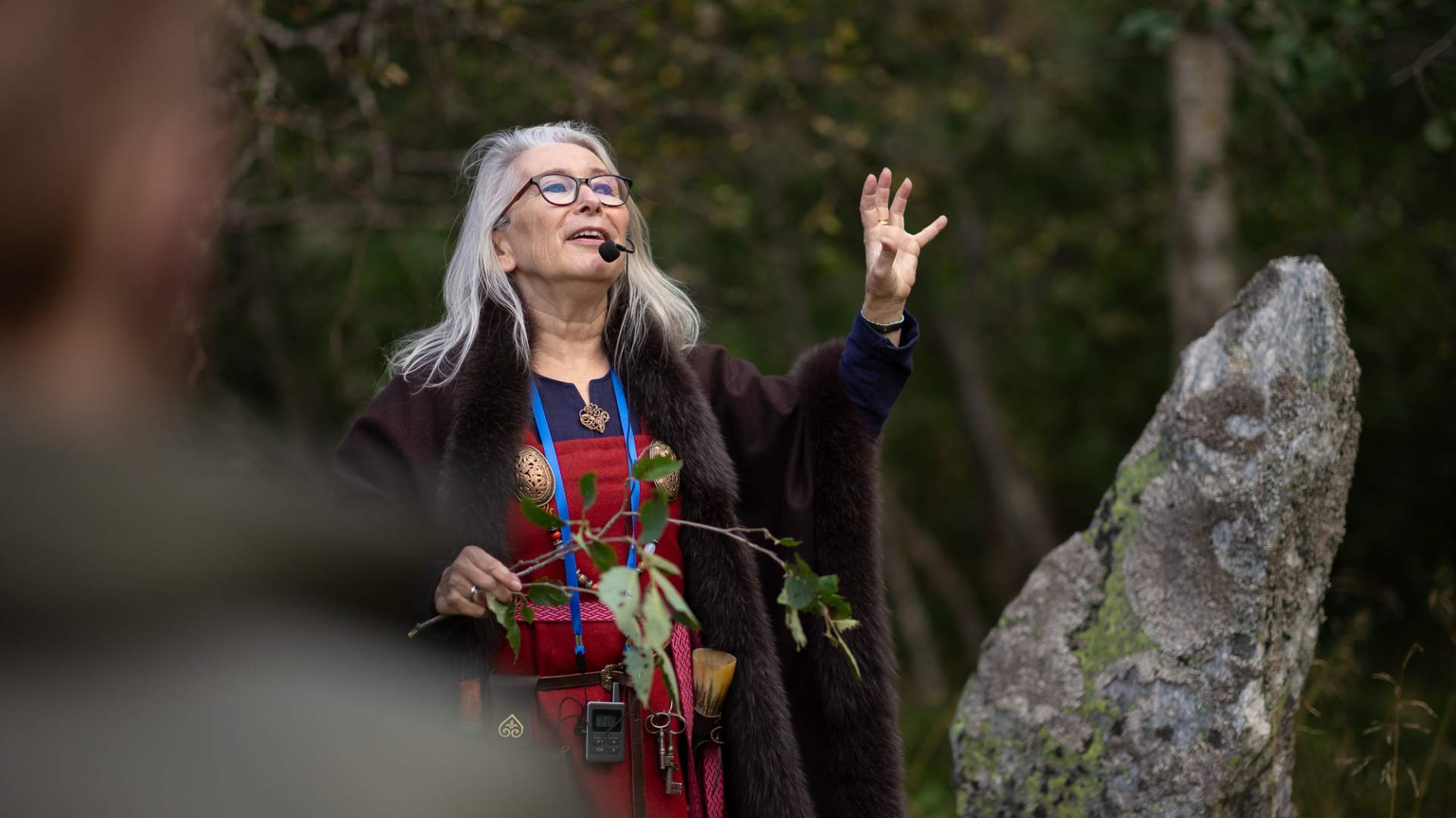 Guided Viking tour with Horgheim.