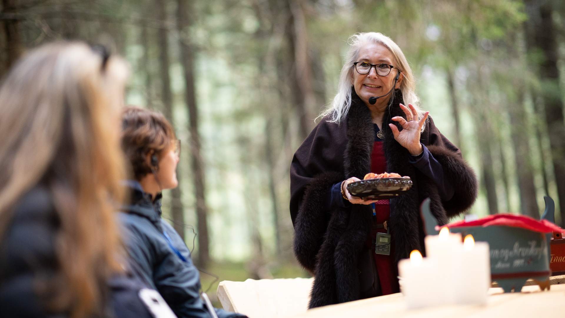 Guided Viking tour with Horgheim.